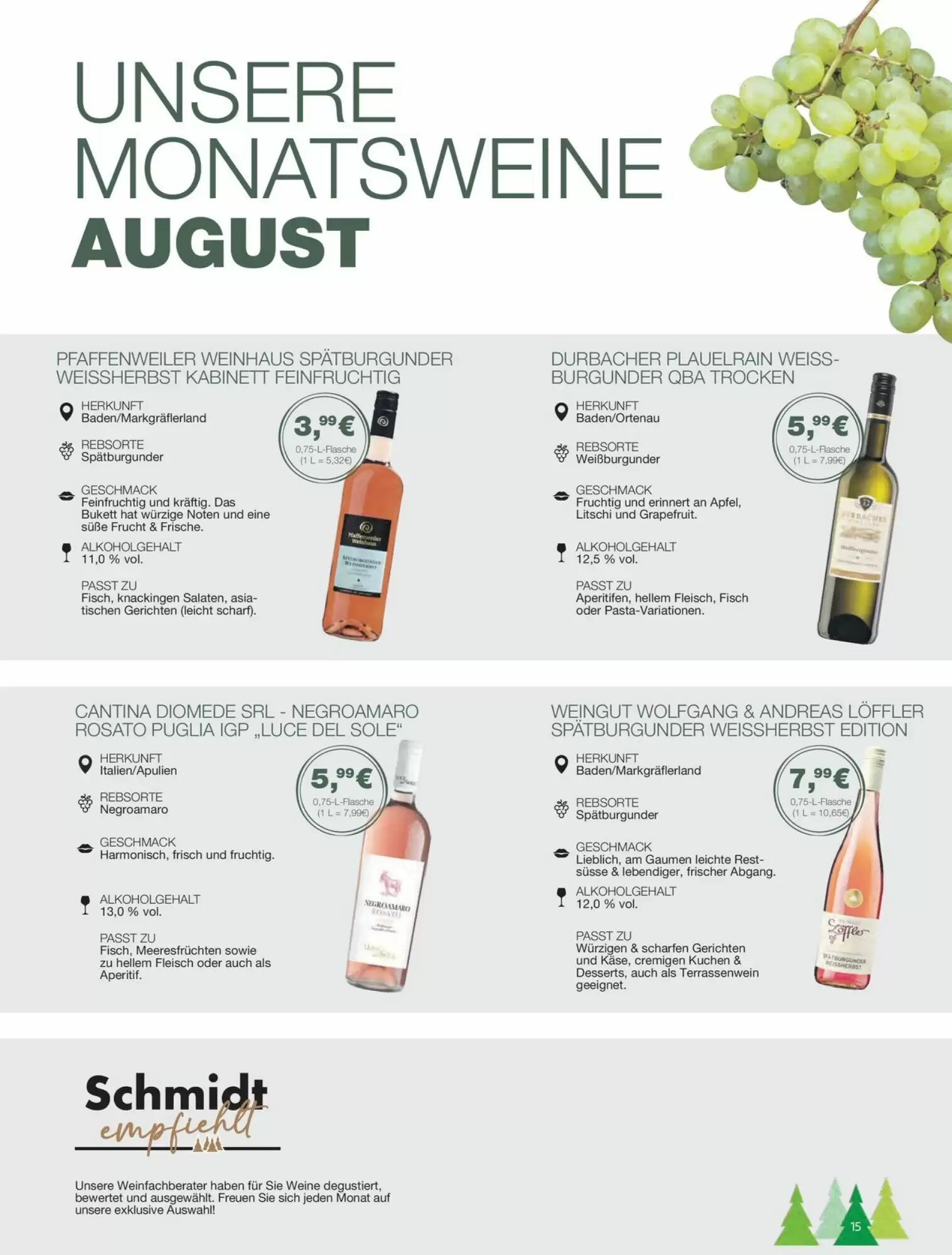 Schmidt's Märkte Prospekt (ab 10.08.2026) zum Blättern - Seite 15