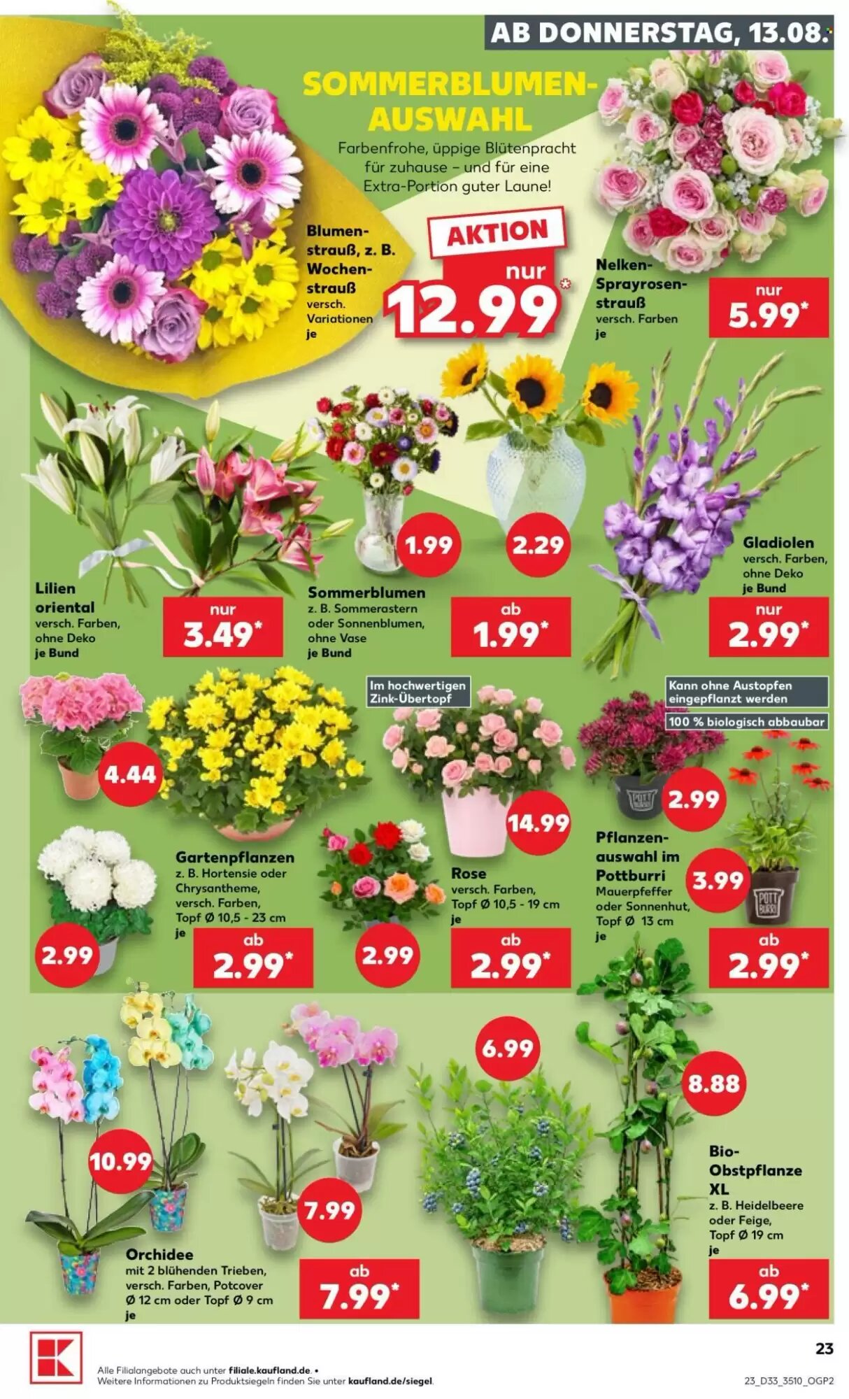 Kaufland Prospekt (ab 13.08.2026) zum Blättern - Seite 23