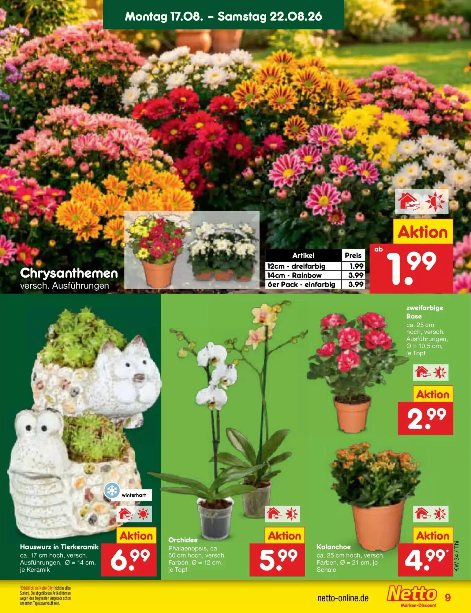 Netto Marken-Discount Prospekt (ab 17.08.2026) zum Blättern - Seite 11