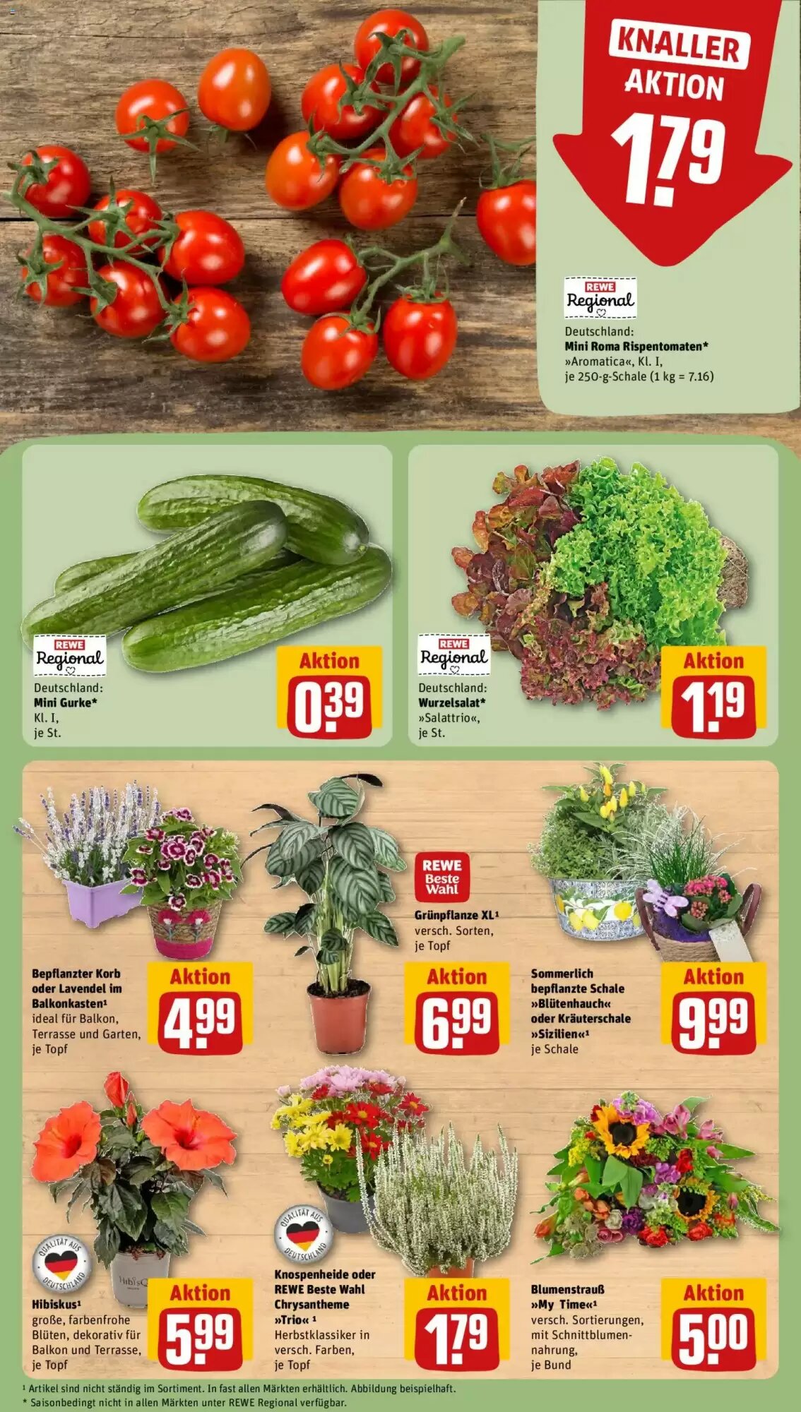REWE Kaufpark Prospekt (ab 17.08.2026) zum Blättern - Seite 7