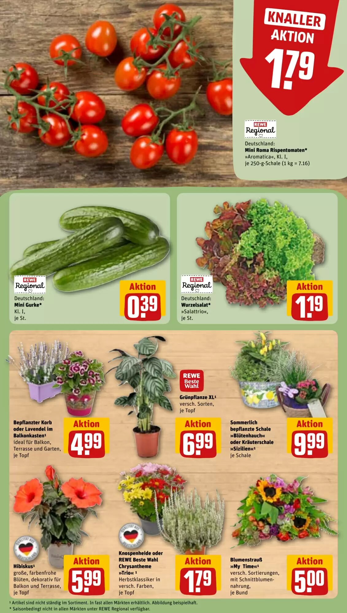 REWE Prospekt (ab 17.08.2026) zum Blättern - Seite 7