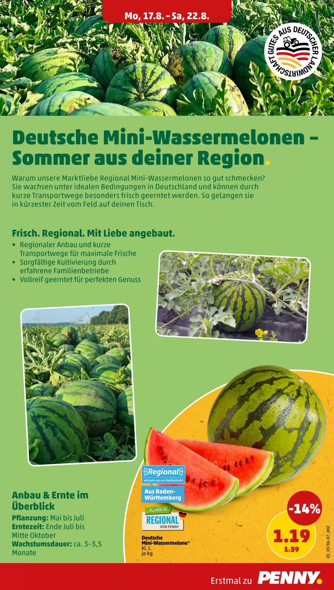 PENNY Prospekt (ab 17.08.2026) zum Blättern - Seite 11