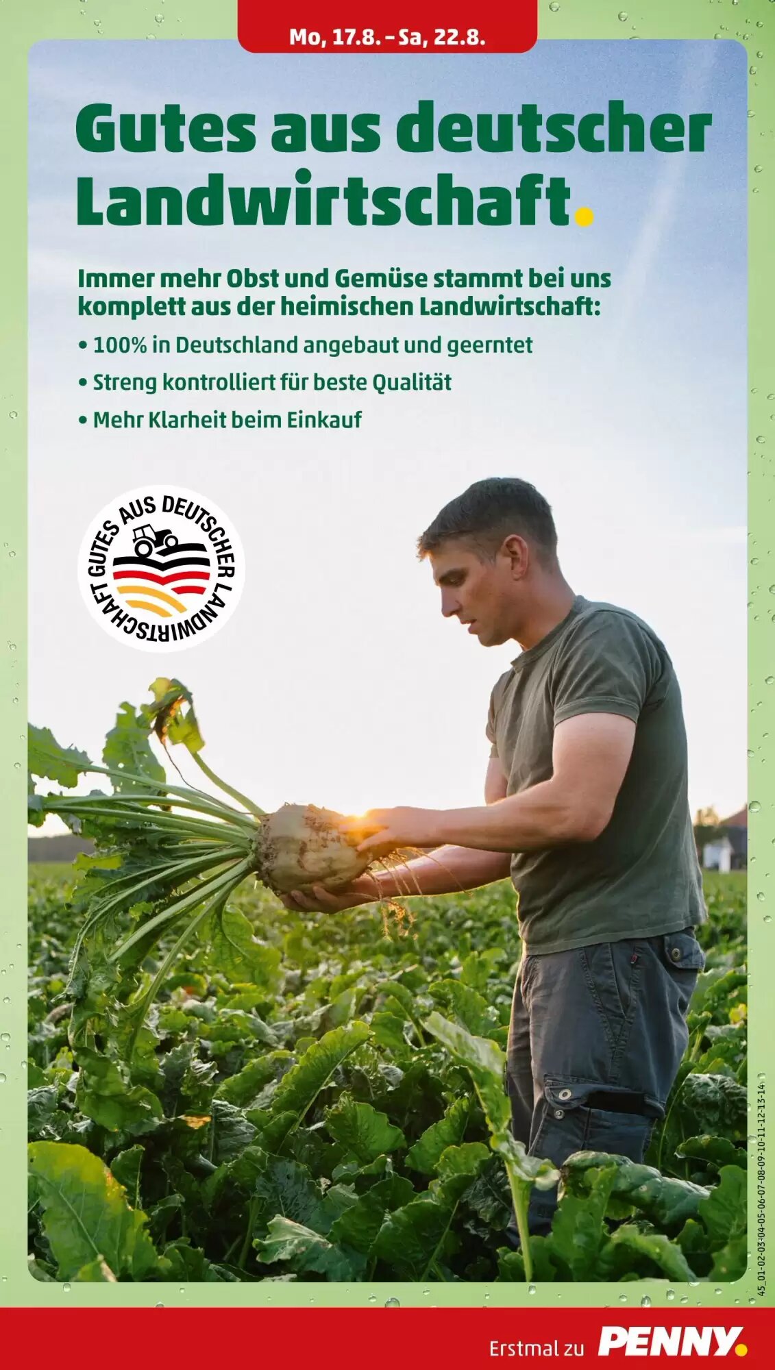 PENNY Prospekt (ab 17.08.2026) zum Blättern - Seite 9