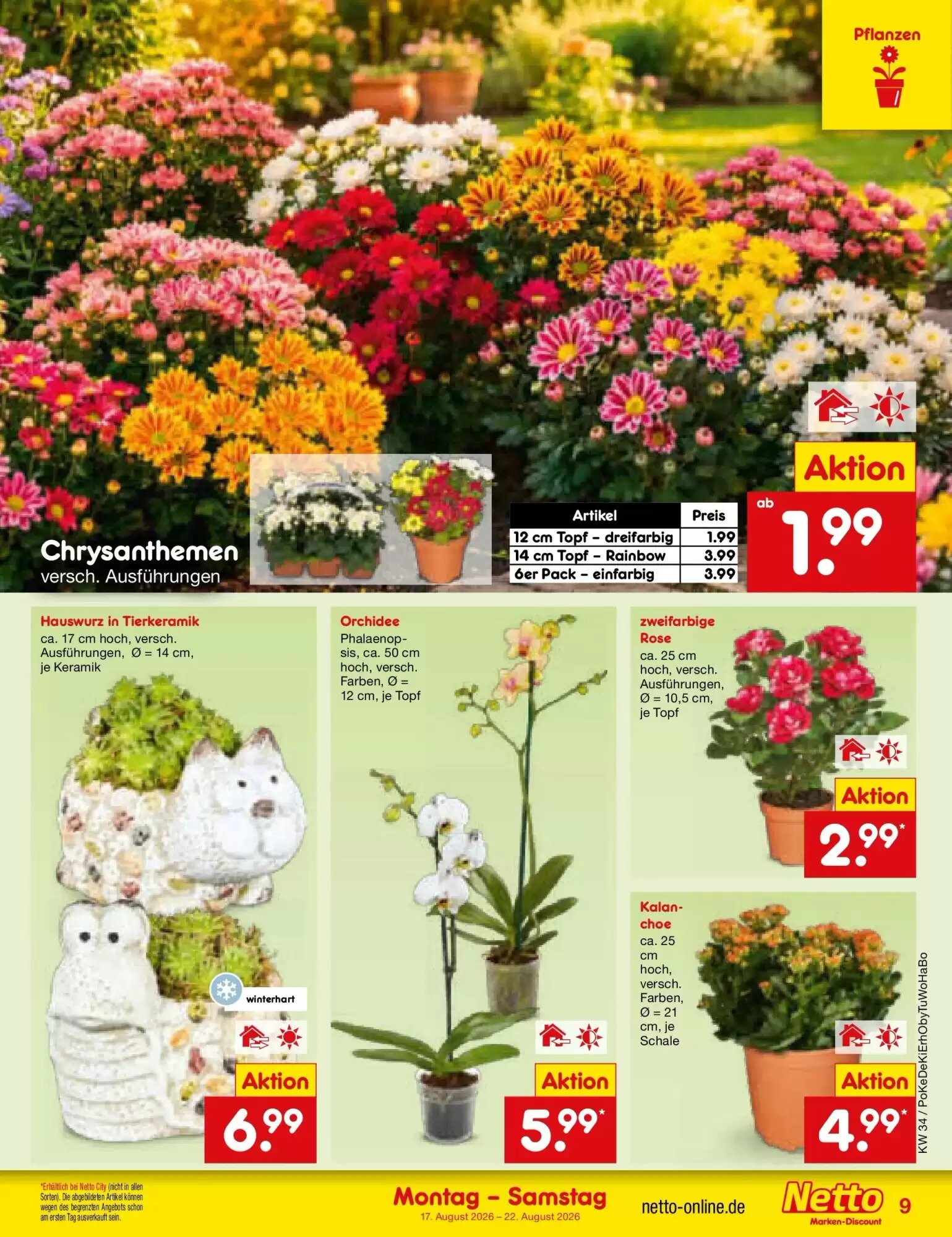 Netto Marken-Discount Prospekt (ab 17.08.2026) zum Blättern - Seite 11