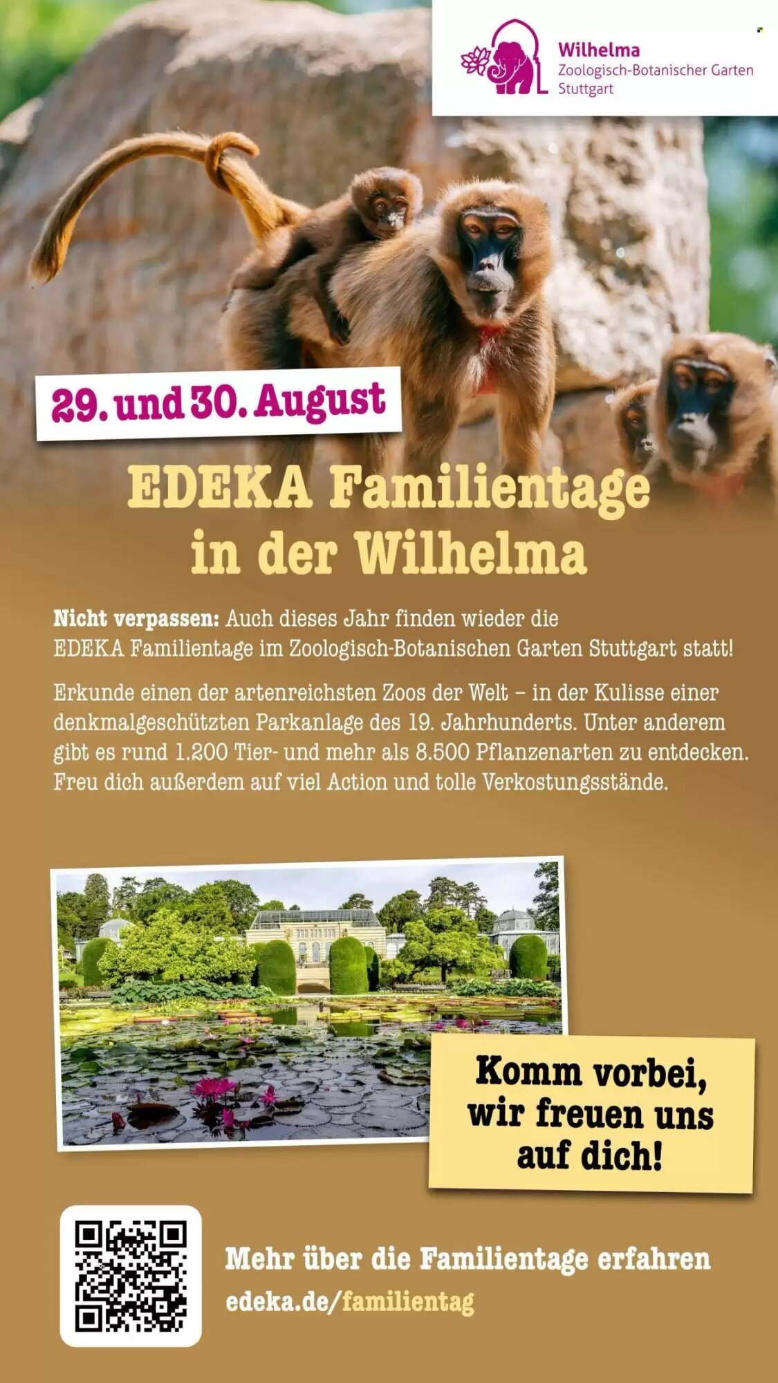 Scheck-in-Center Prospekt (ab 17.08.2026) zum Blättern - Seite 65
