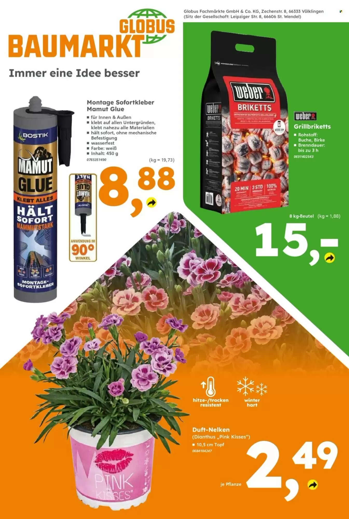 Globus Baumarkt Prospekt (ab 17.08.2026) zum Blättern - Seite 8