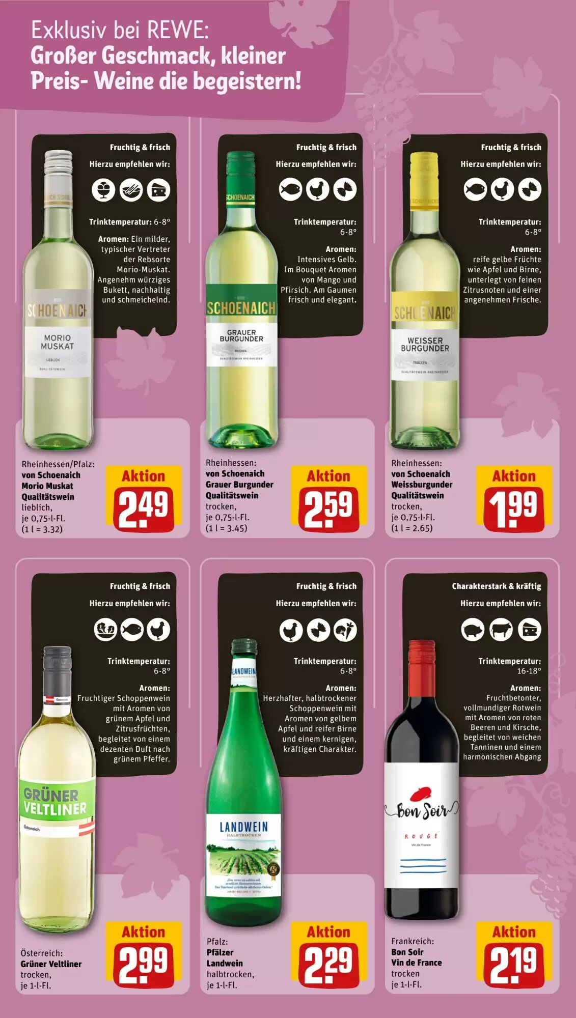 REWE PETZ Prospekt (ab 17.08.2026) zum Blättern - Seite 24