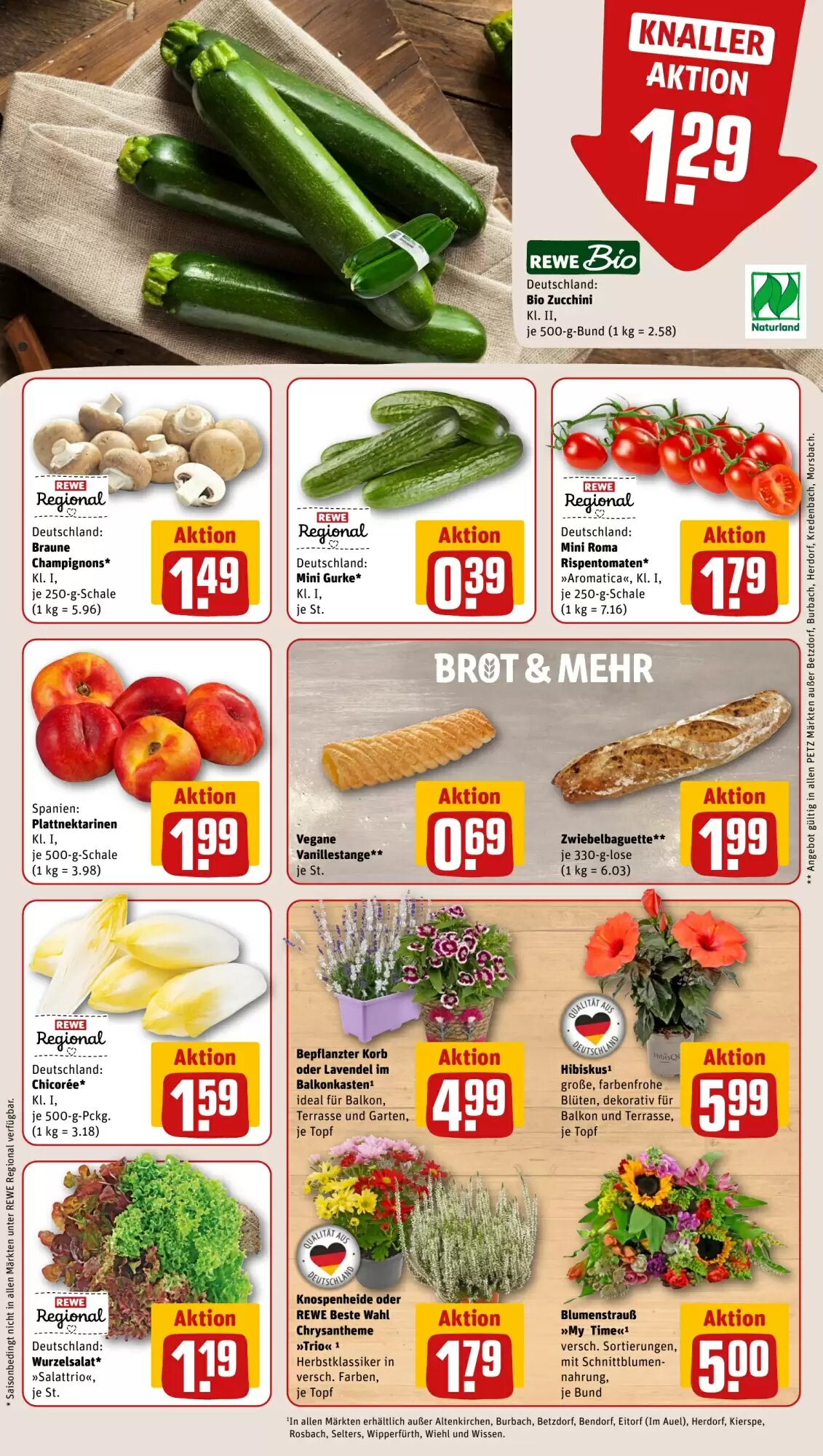 REWE PETZ Prospekt (ab 17.08.2026) zum Blättern - Seite 9