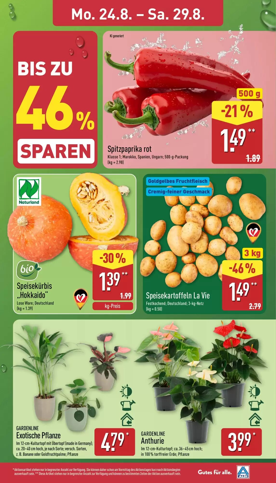 Aldi Nord Prospekt (ab 24.08.2026) zum Blättern - Seite 3