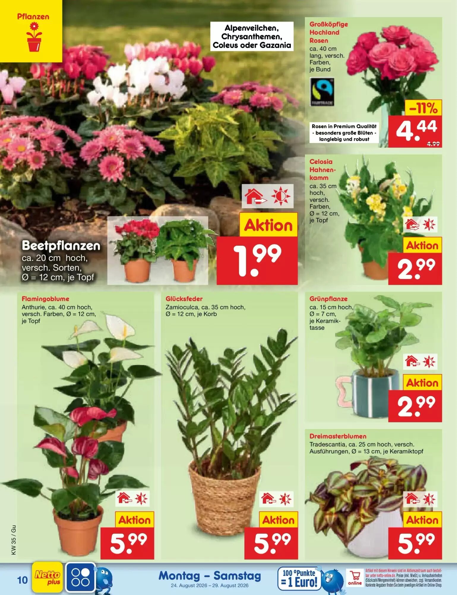 Netto Marken-Discount Prospekt (ab 24.08.2026) zum Blättern - Seite 14