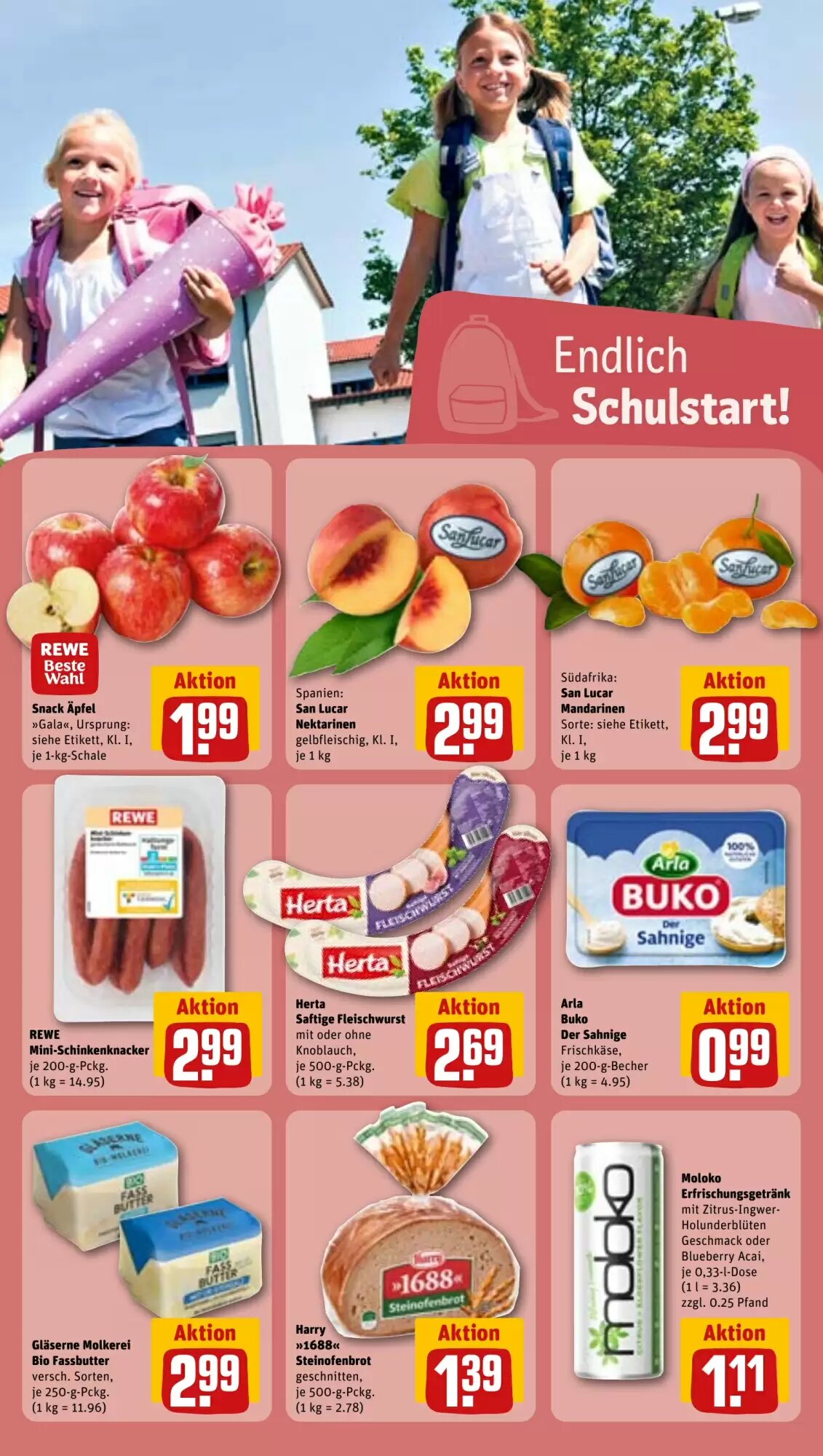 REWE Prospekt (ab 24.08.2026) zum Blättern - Seite 16