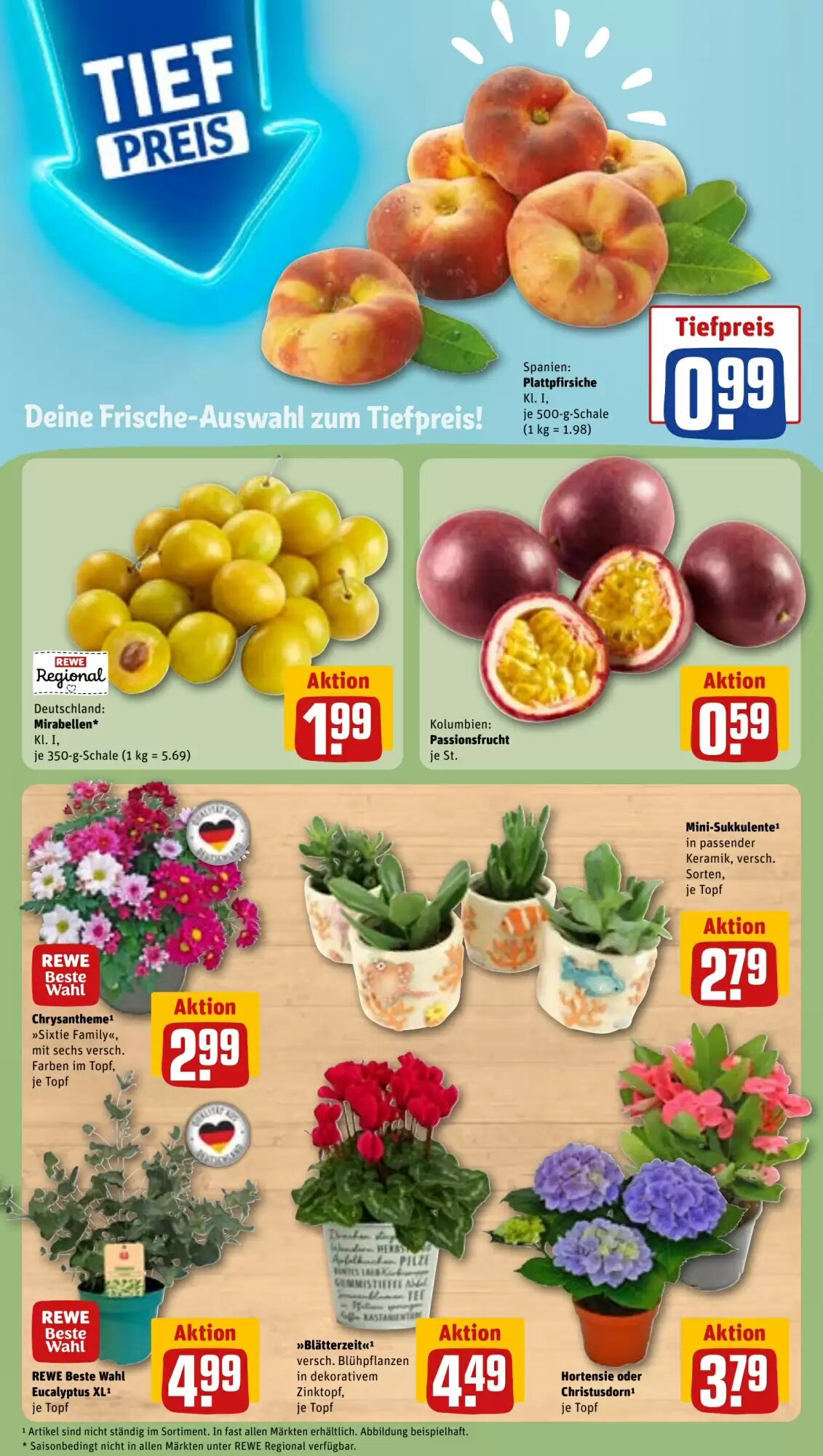 REWE Prospekt (ab 24.08.2026) zum Blättern - Seite 7