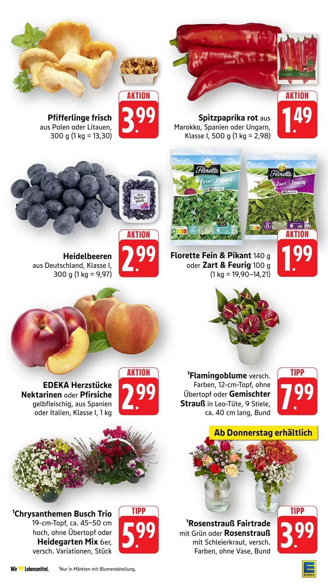 EDEKA Stralsund Prospekt (ab 24.08.2026) zum Blättern - Seite 11