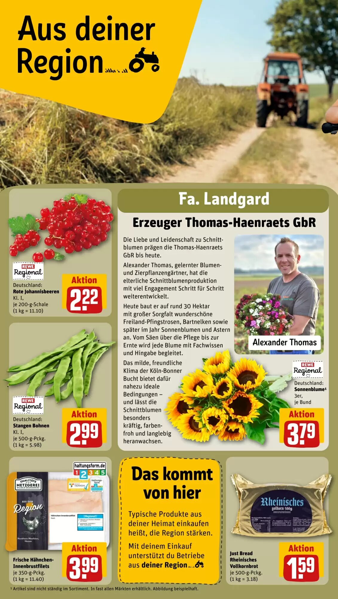 REWE PETZ Prospekt (ab 24.08.2026) zum Blättern - Seite 22