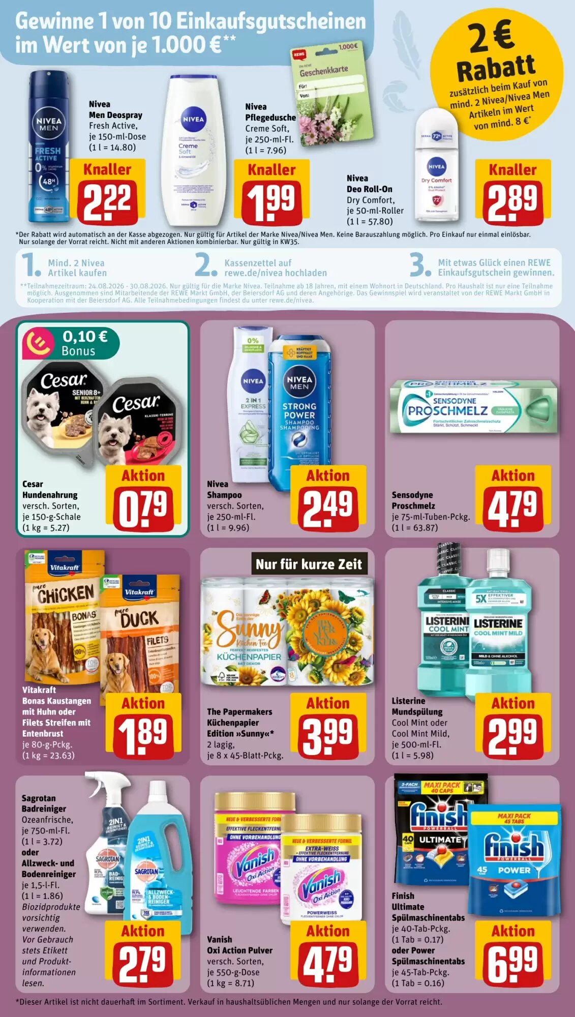 REWE PETZ Prospekt (ab 24.08.2026) zum Blättern - Seite 24