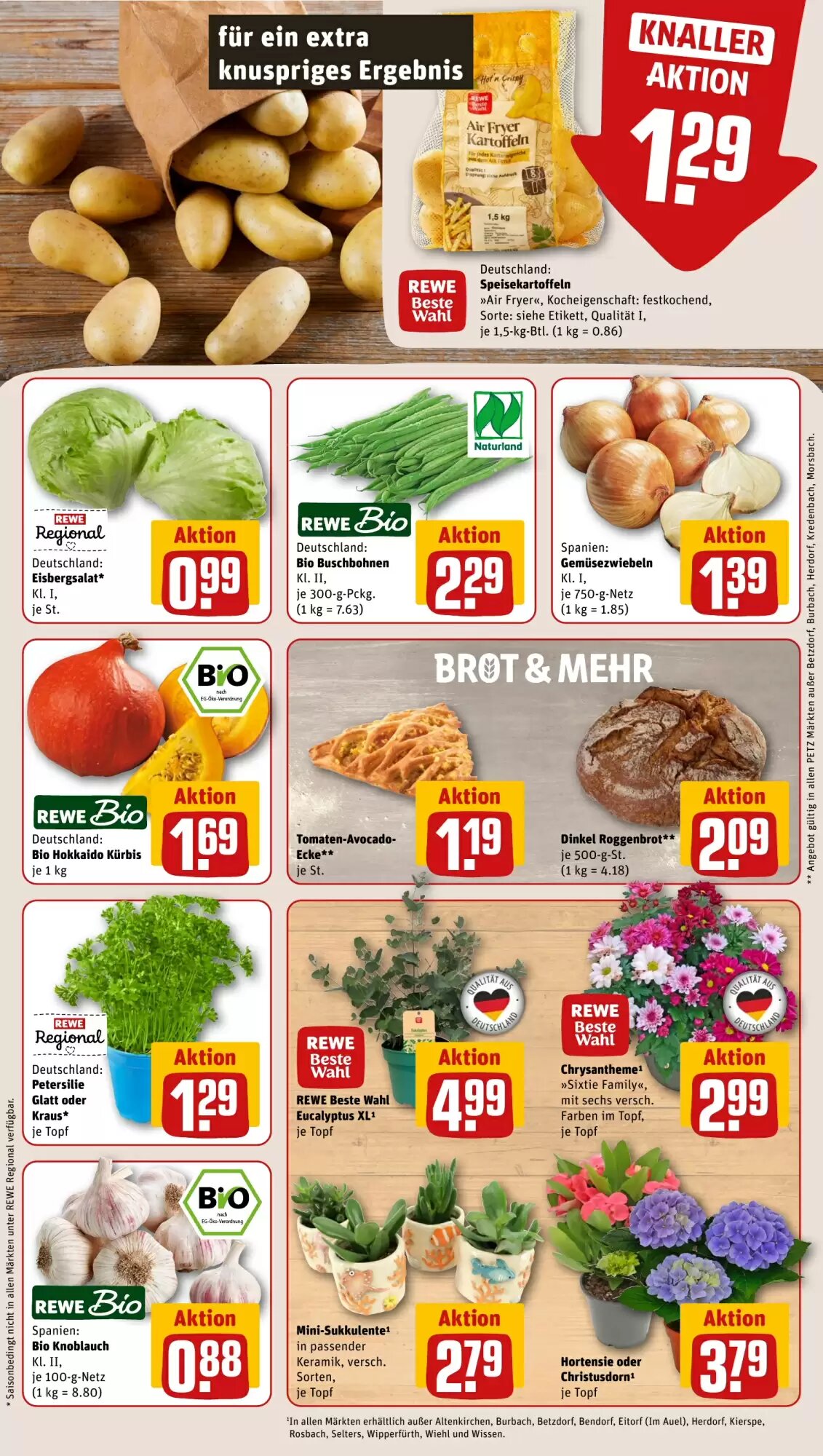 REWE PETZ Prospekt (ab 24.08.2026) zum Blättern - Seite 7