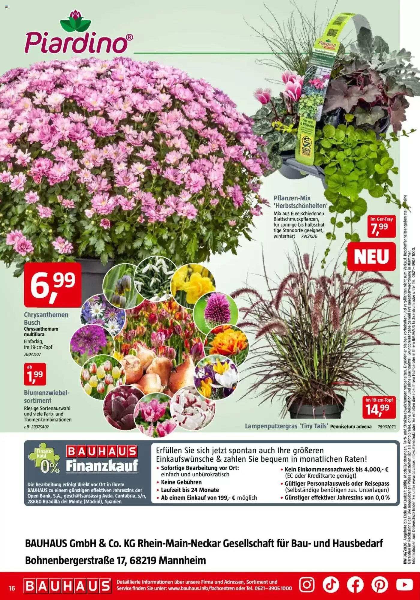 Bauhaus Prospekt (ab 29.08.2026) zum Blättern - Seite 16