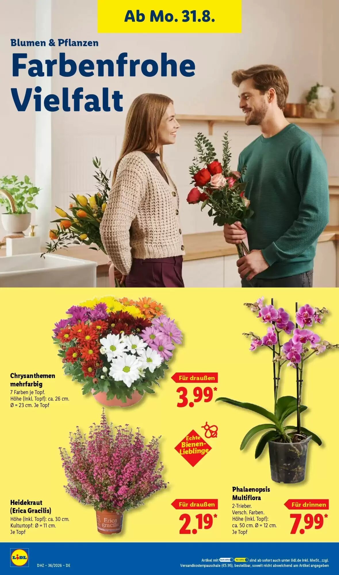 Lidl Prospekt (ab 30.08.2026) zum Blättern - Seite 26