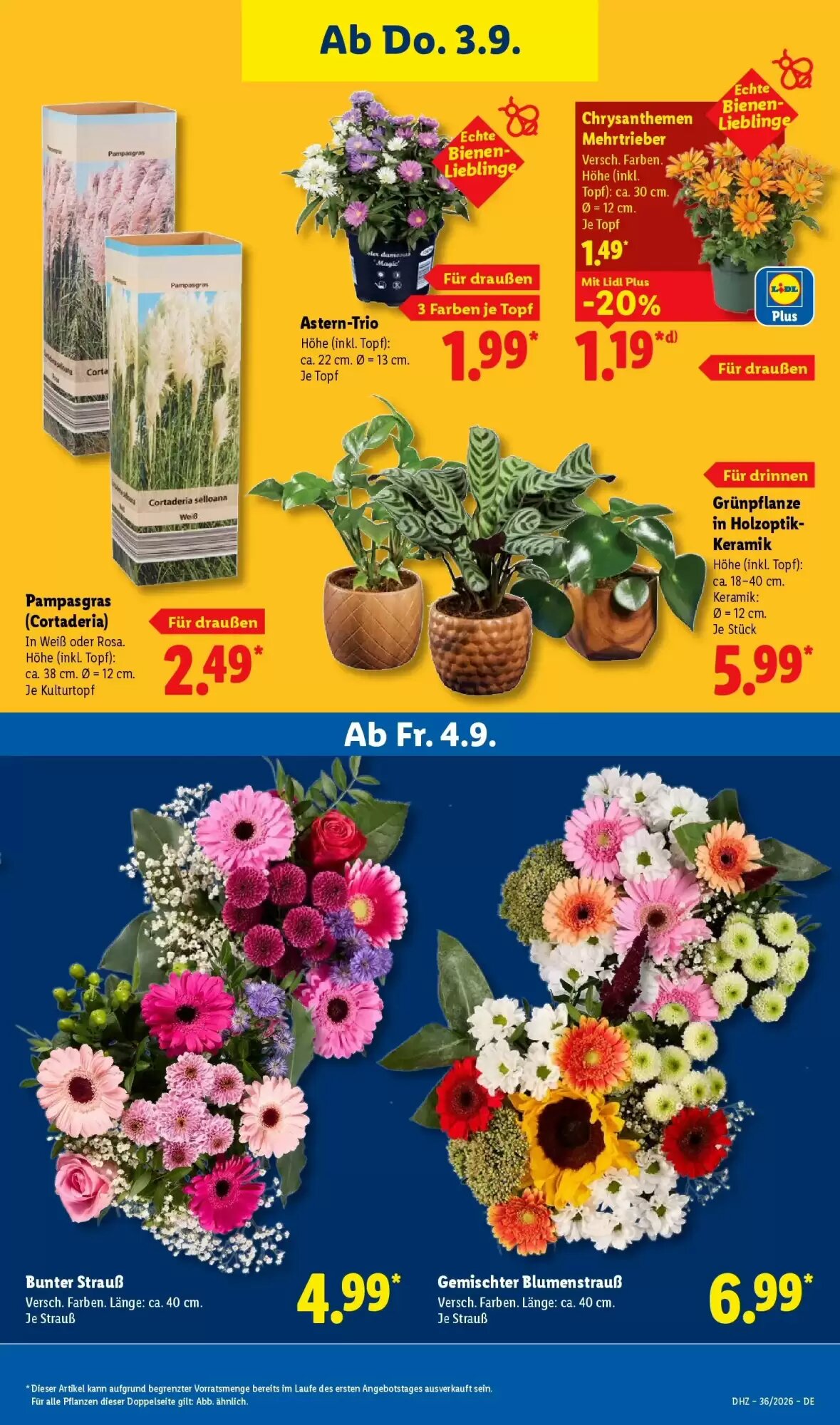 Lidl Prospekt (ab 30.08.2026) zum Blättern - Seite 27
