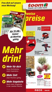 toom Baumarkt Prospekt (ab 31.08.2026) zum Blättern