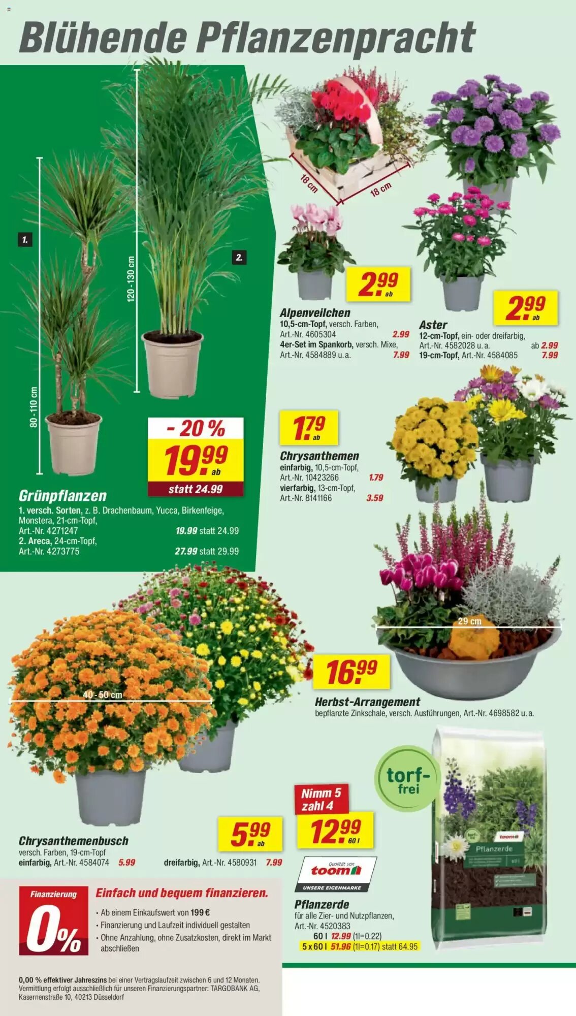 toom Baumarkt Prospekt (ab 31.08.2026) zum Blättern - Seite 4