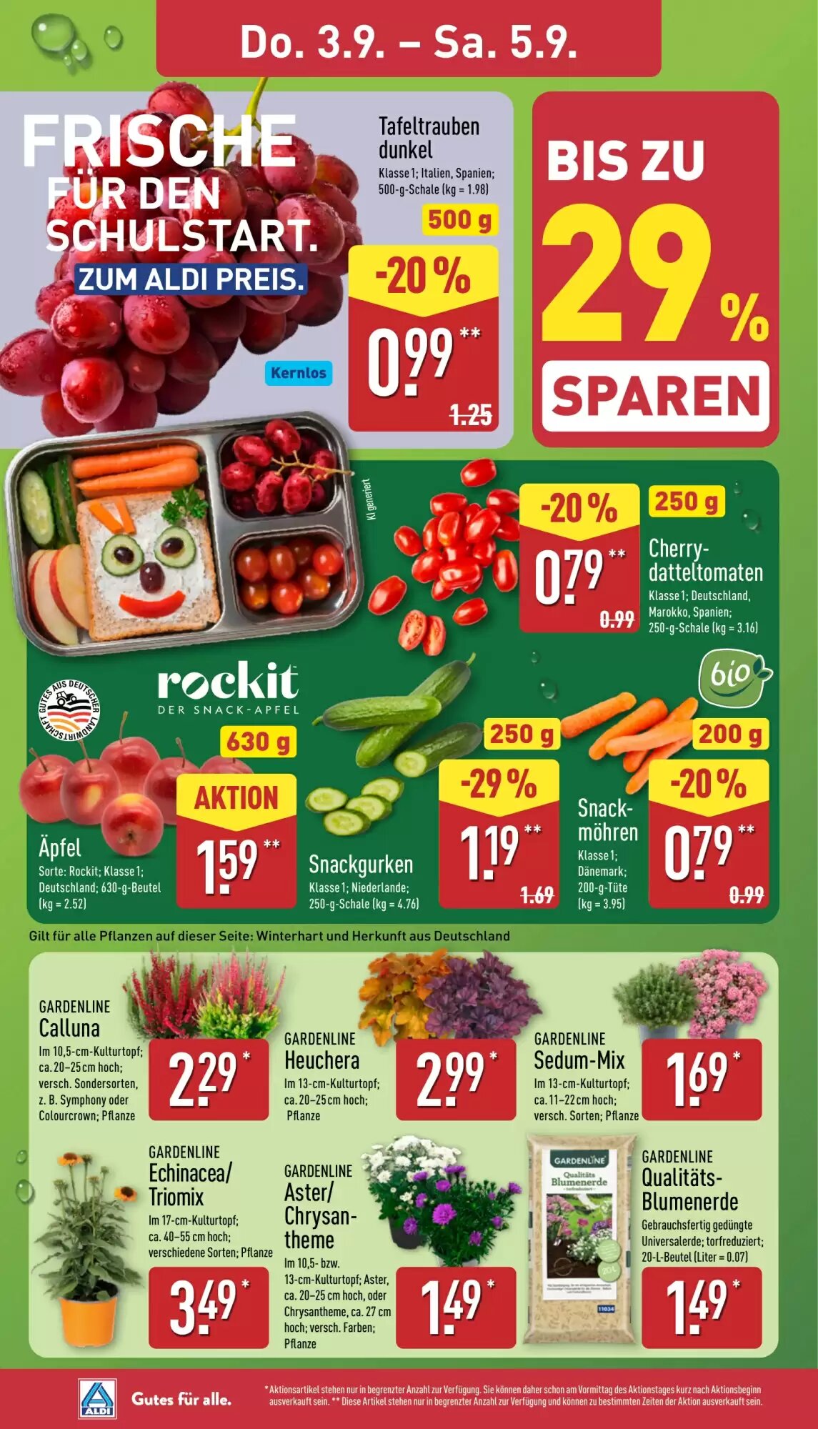 Aldi Nord Prospekt (ab 31.08.2026) zum Blättern - Seite 26