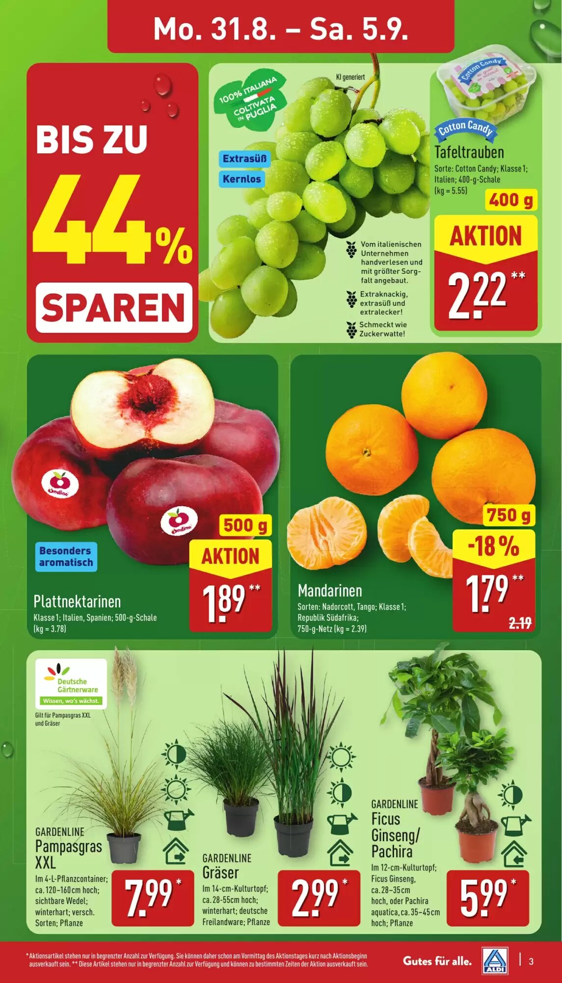 Aldi Nord Prospekt (ab 31.08.2026) zum Blättern - Seite 3