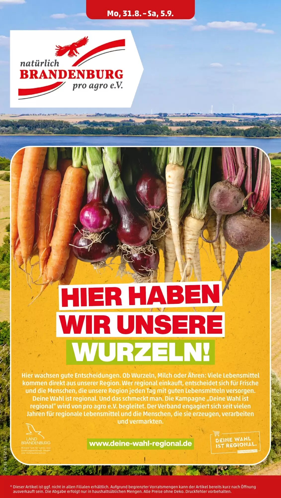 PENNY Prospekt (ab 31.08.2026) zum Blättern - Seite 24