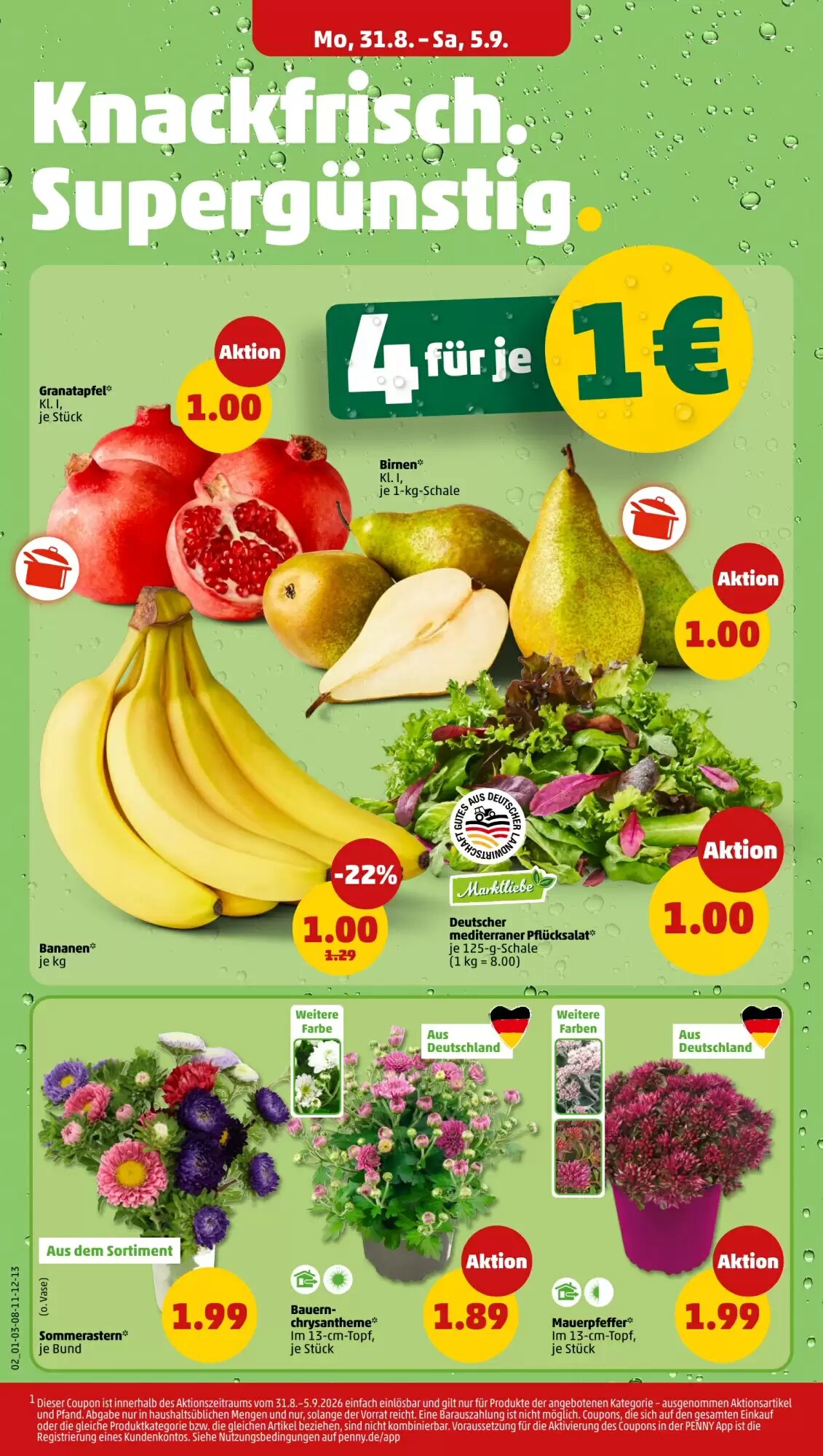 PENNY Prospekt (ab 31.08.2026) zum Blättern - Seite 4