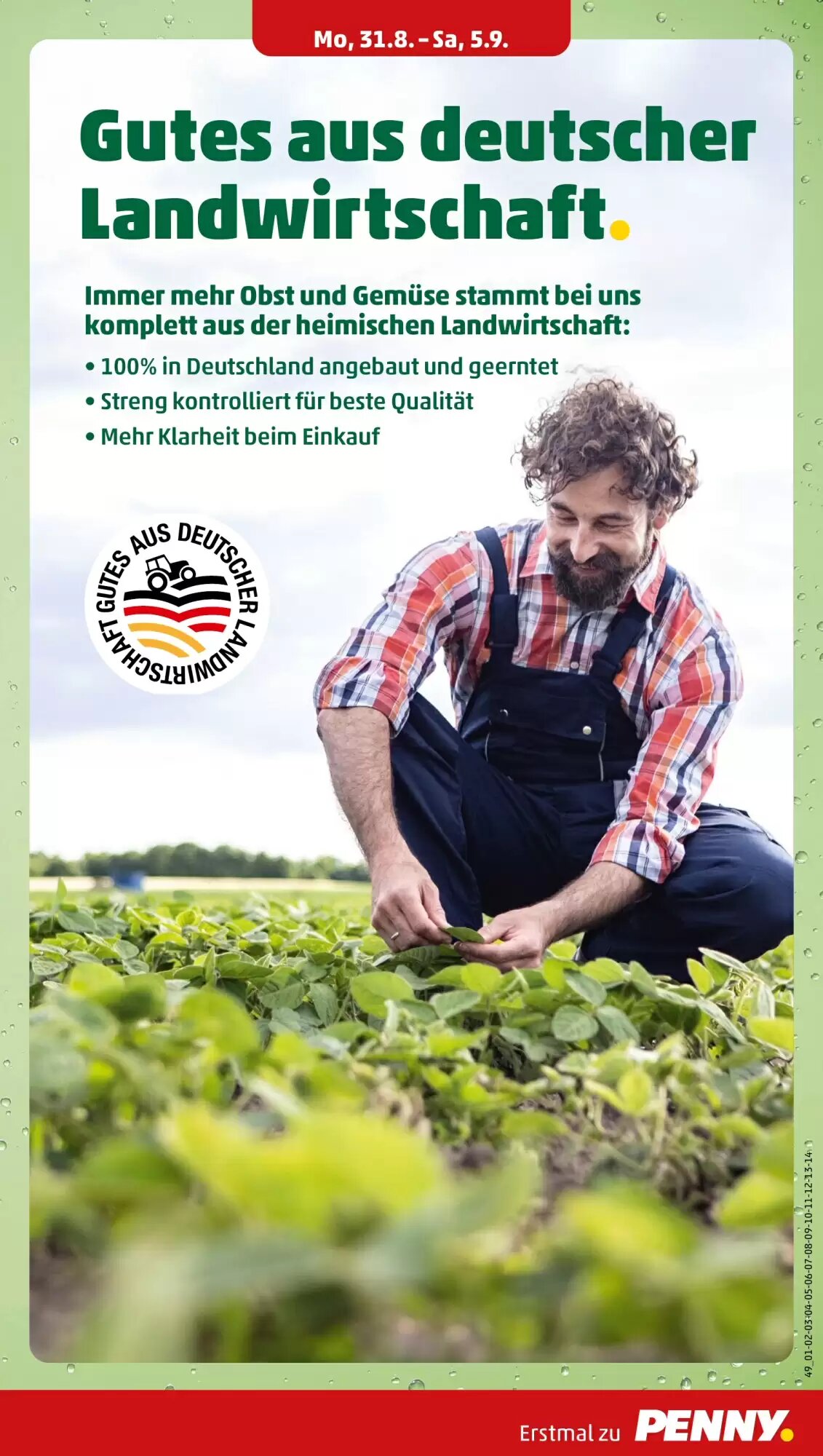 PENNY Prospekt (ab 31.08.2026) zum Blättern - Seite 7