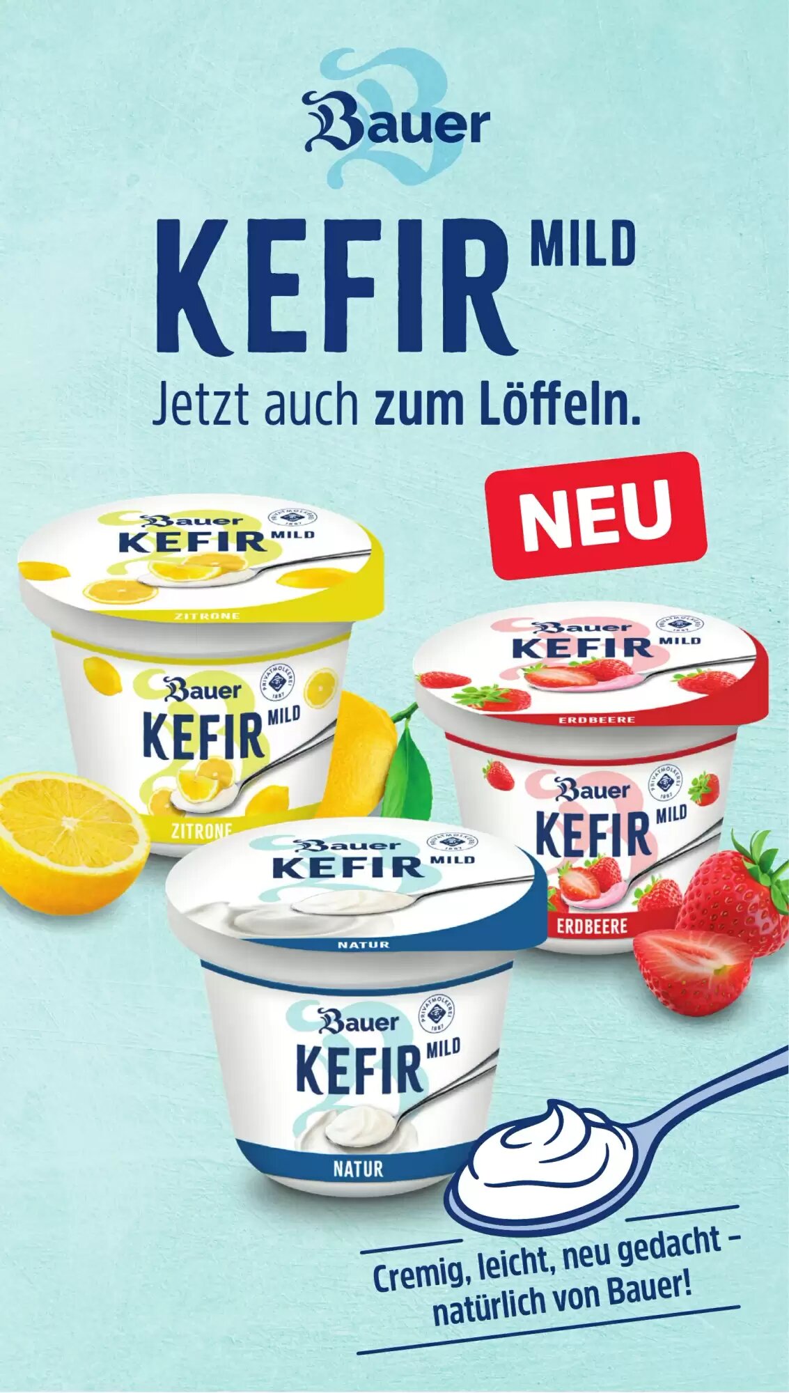 Famila Nord West Prospekt (ab 31.08.2026) zum Blättern - Seite 12