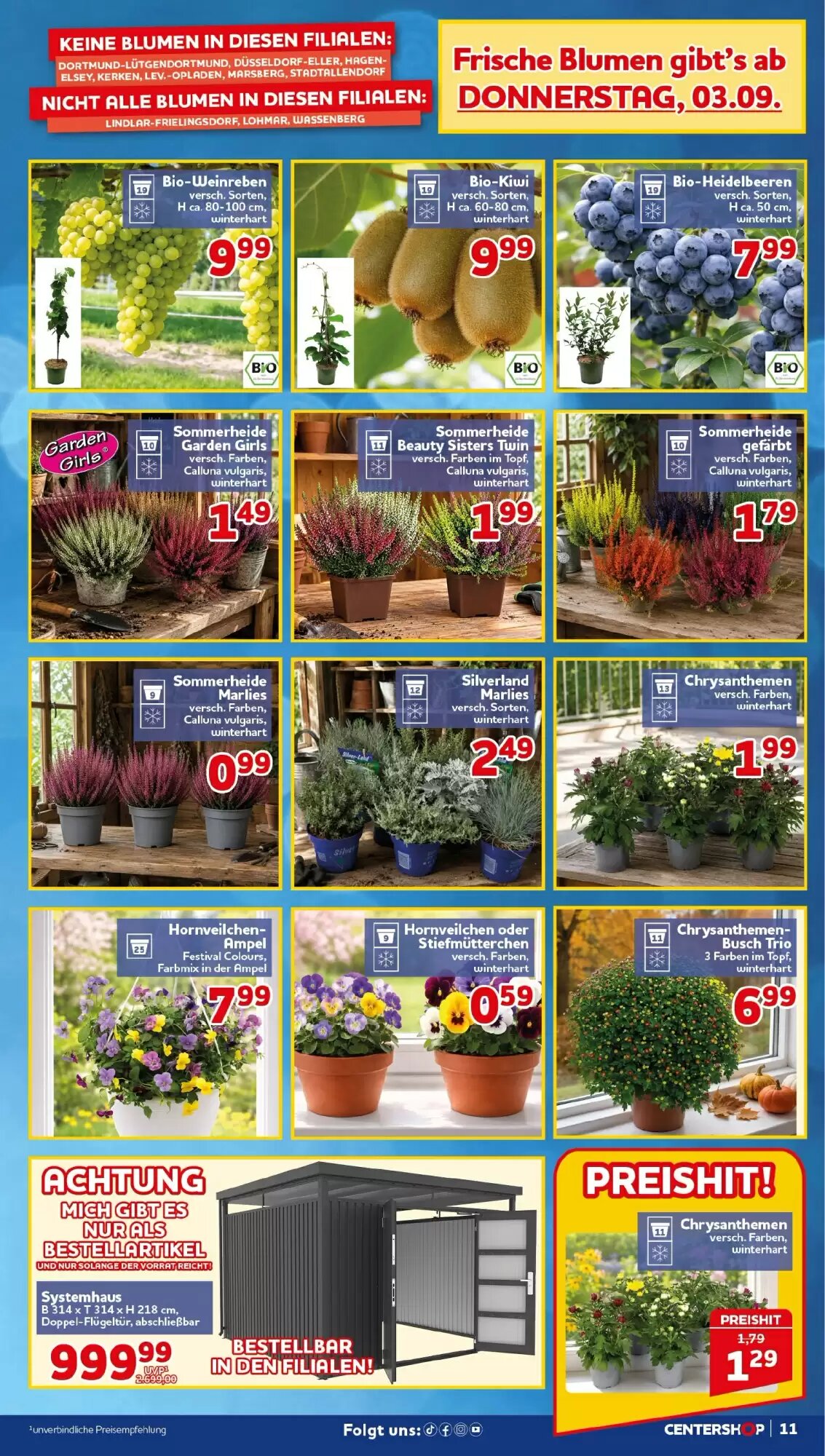 CENTERSHOP Prospekt (ab 31.08.2026) zum Blättern - Seite 11