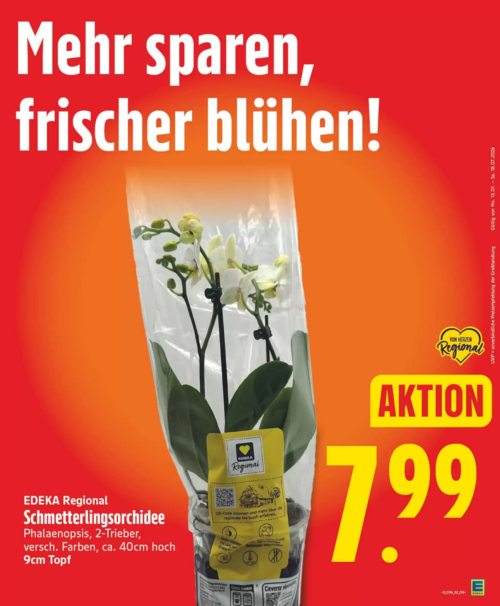 E Reichelt Prospekt (ab 31.08.2026) zum Blättern - Seite 5