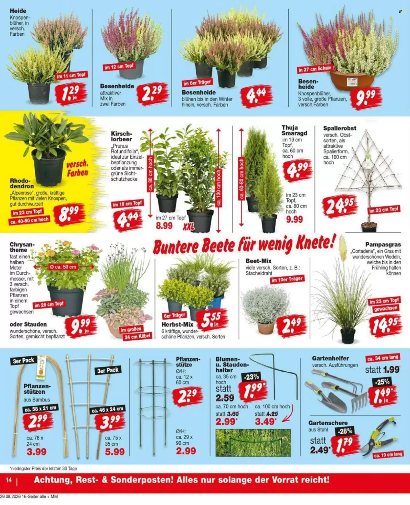 Repo Markt Prospekt (ab 31.08.2026) zum Blättern - Seite 14