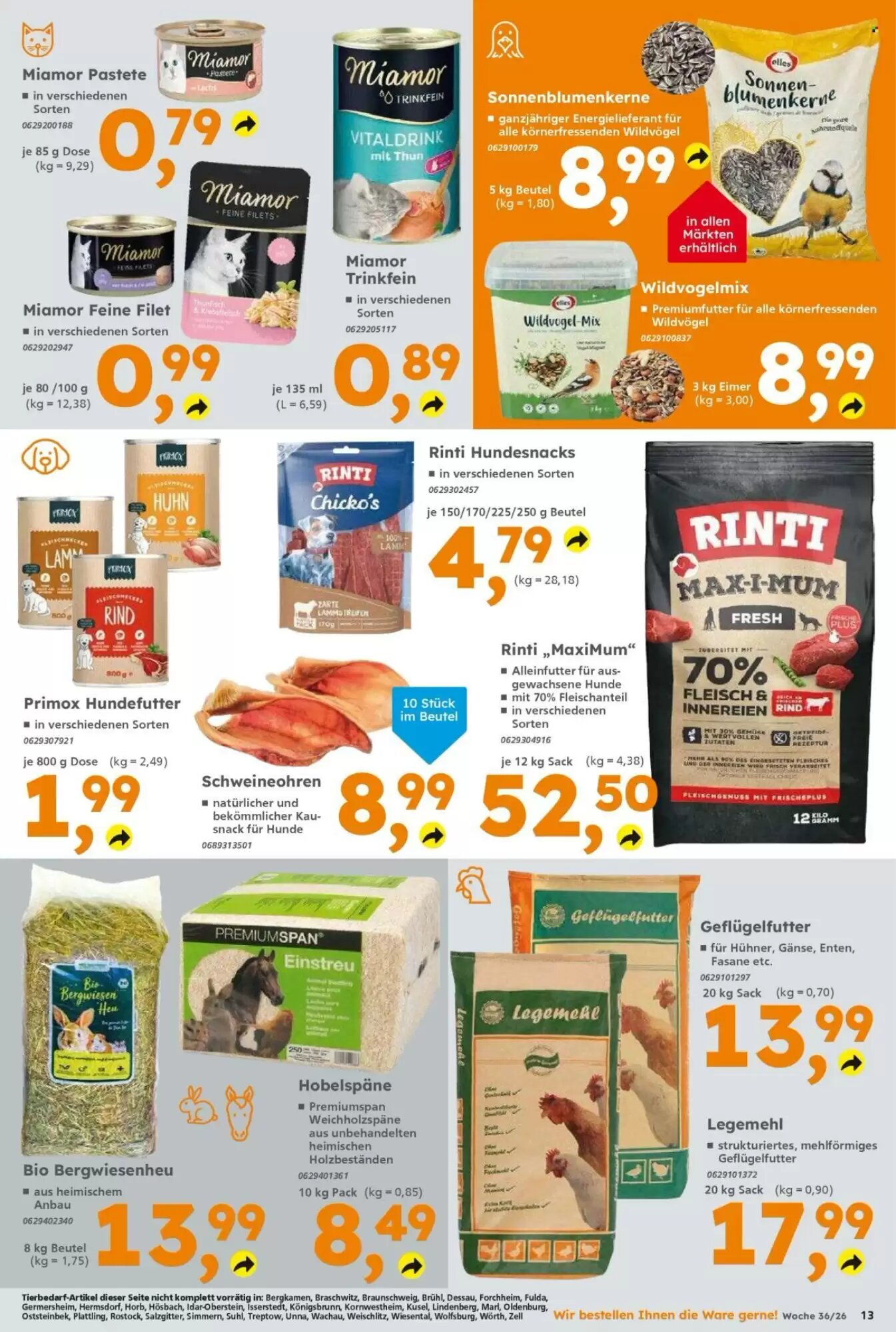 Globus Baumarkt Prospekt (ab 31.08.2026) zum Blättern - Seite 13
