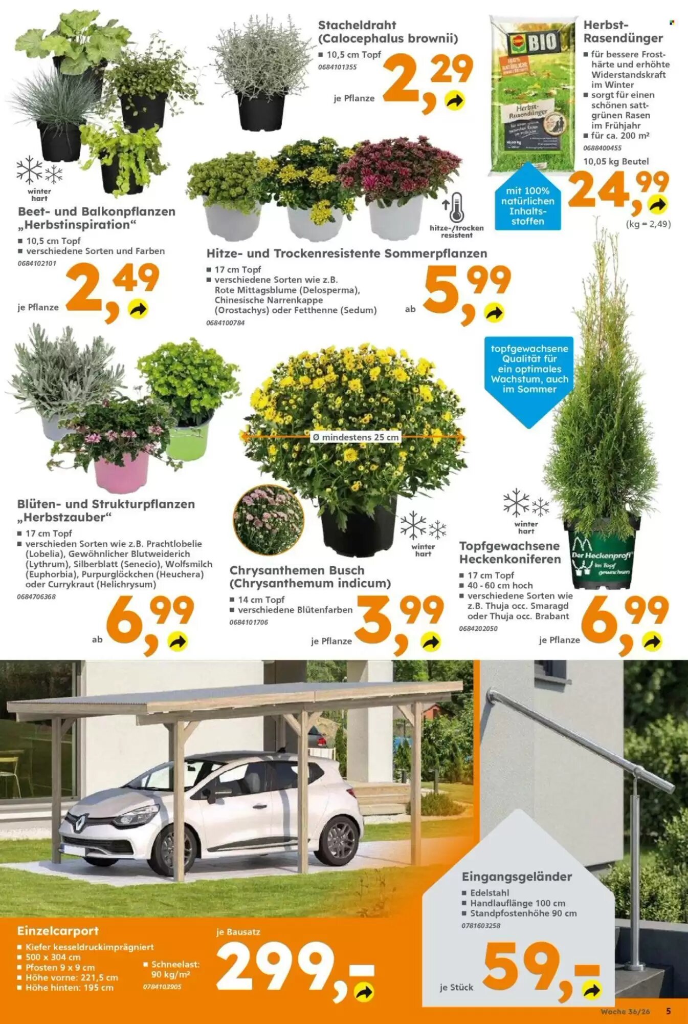 Globus Baumarkt Prospekt (ab 31.08.2026) zum Blättern - Seite 5