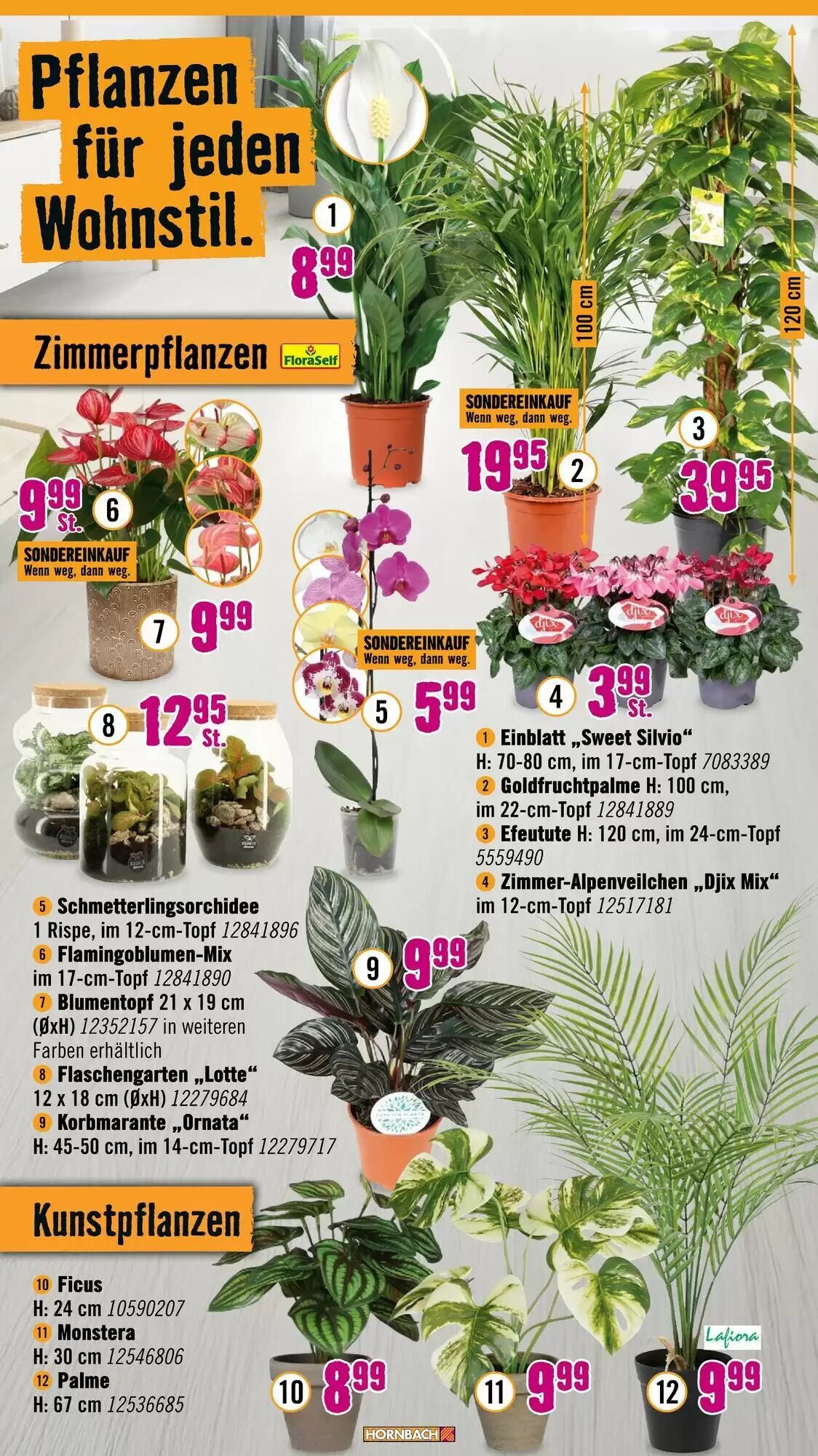 Hornbach Prospekt (ab 02.09.2026) zum Blättern - Seite 22