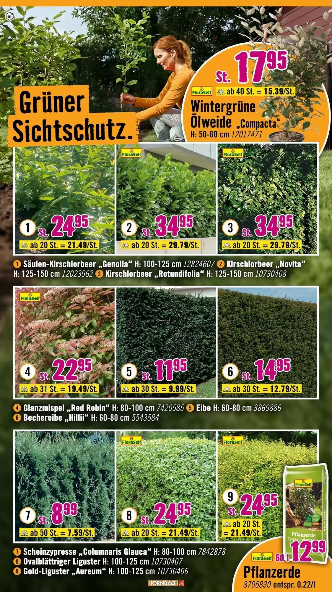 Hornbach Prospekt (ab 02.09.2026) zum Blättern - Seite 28