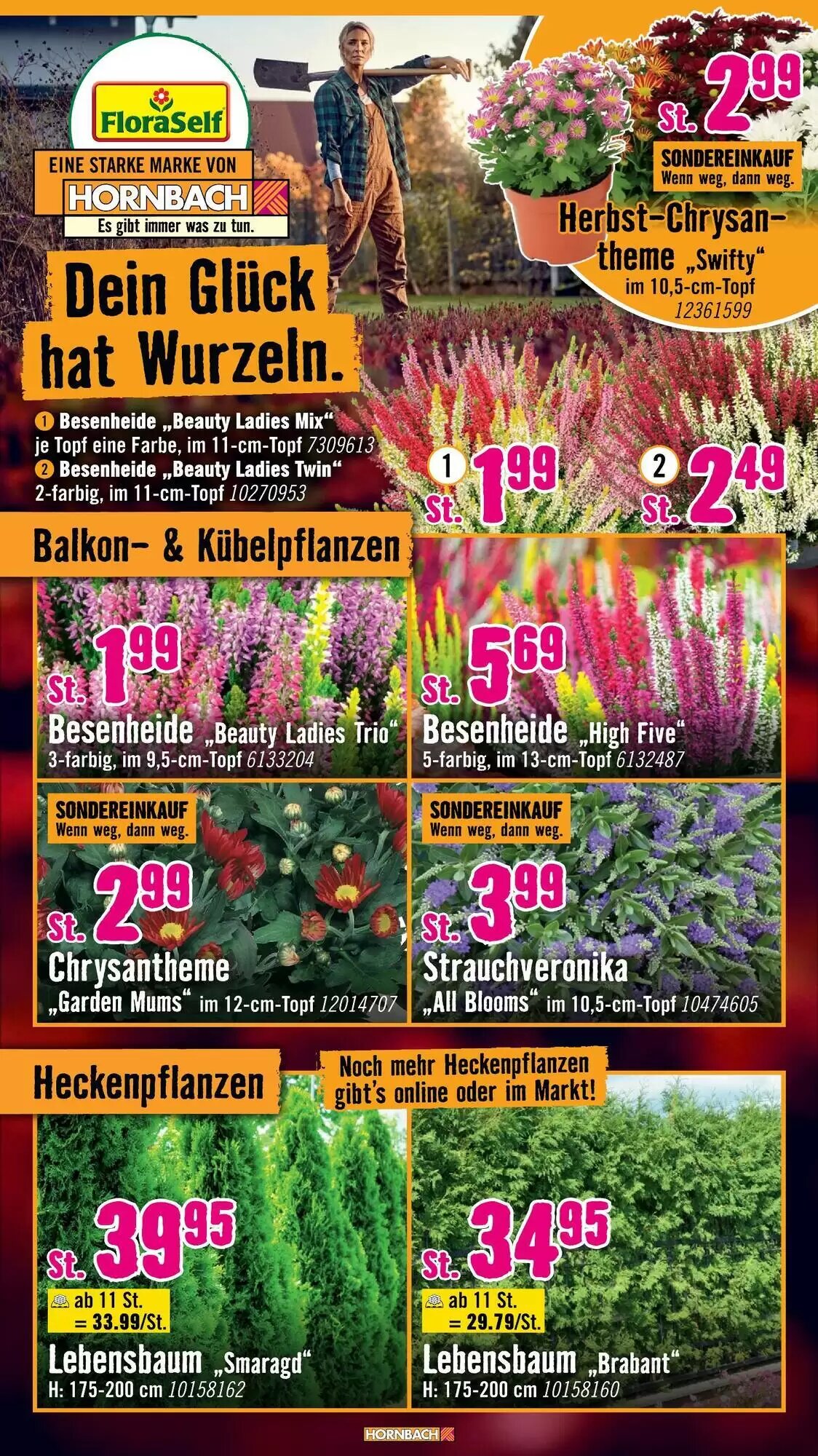 Hornbach Prospekt (ab 02.09.2026) zum Blättern - Seite 29