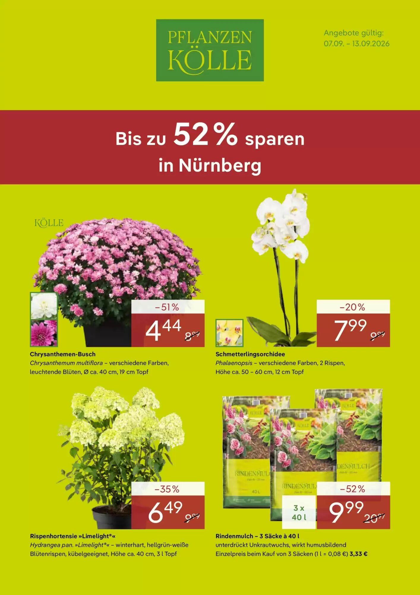 Pflanzen Kölle Prospekt (ab 04.09.2026) zum Blättern - Seite 1