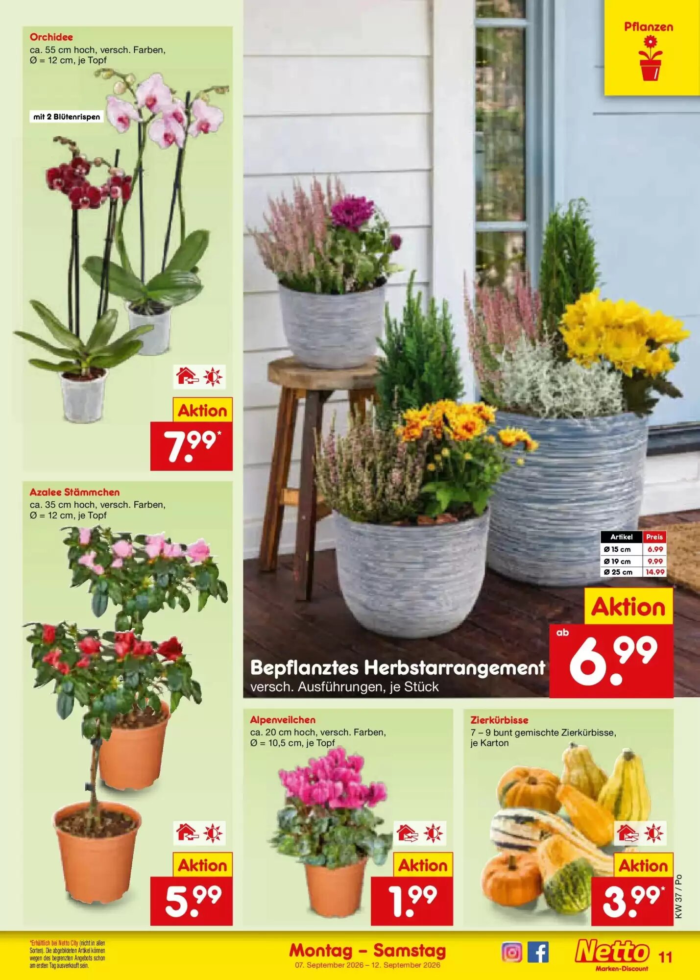 Netto Marken-Discount Prospekt (ab 06.09.2026) zum Blättern - Seite 17