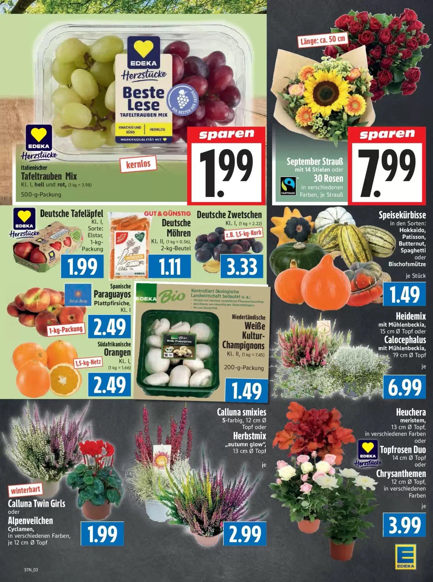 EDEKA Hahner Prospekt (ab 06.09.2026) zum Blättern - Seite 5