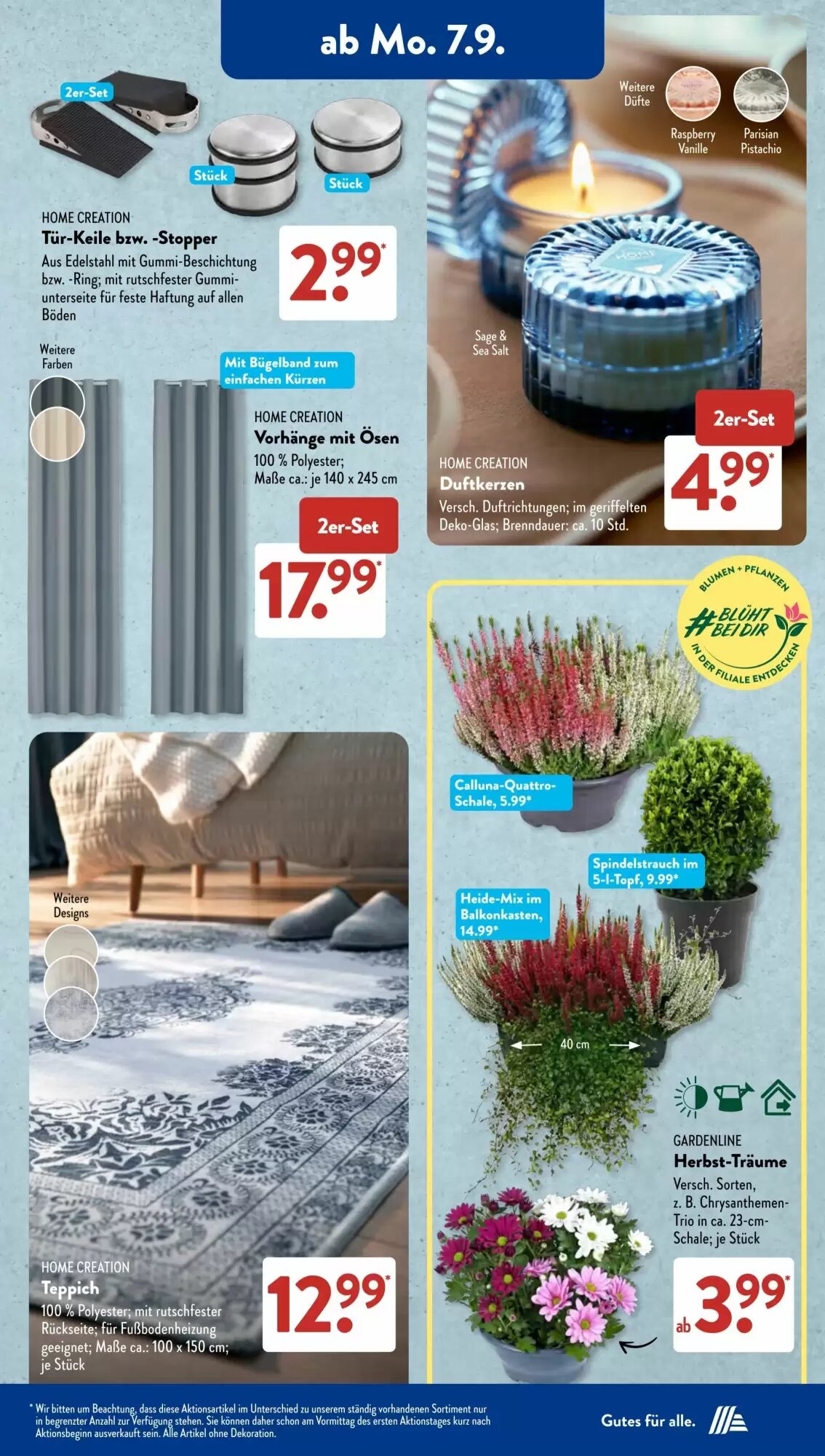 Aldi Süd Prospekt (ab 07.09.2026) zum Blättern - Seite 5