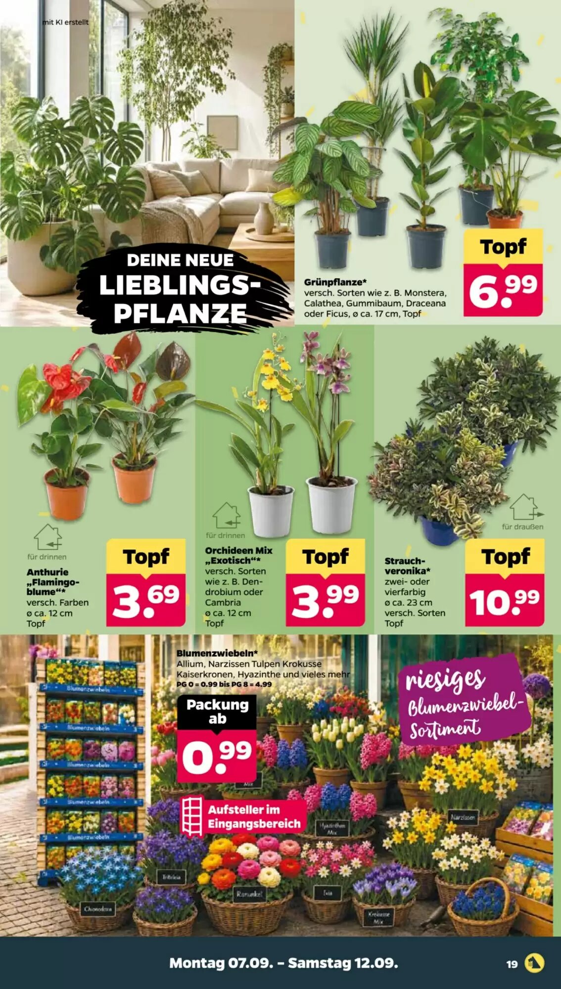 NETTO Prospekt (ab 07.09.2026) zum Blättern - Seite 21