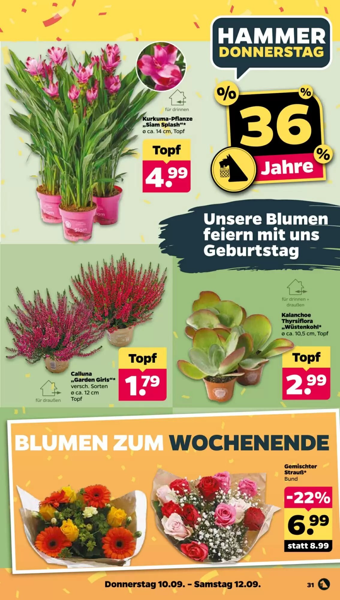 NETTO Prospekt (ab 07.09.2026) zum Blättern - Seite 35