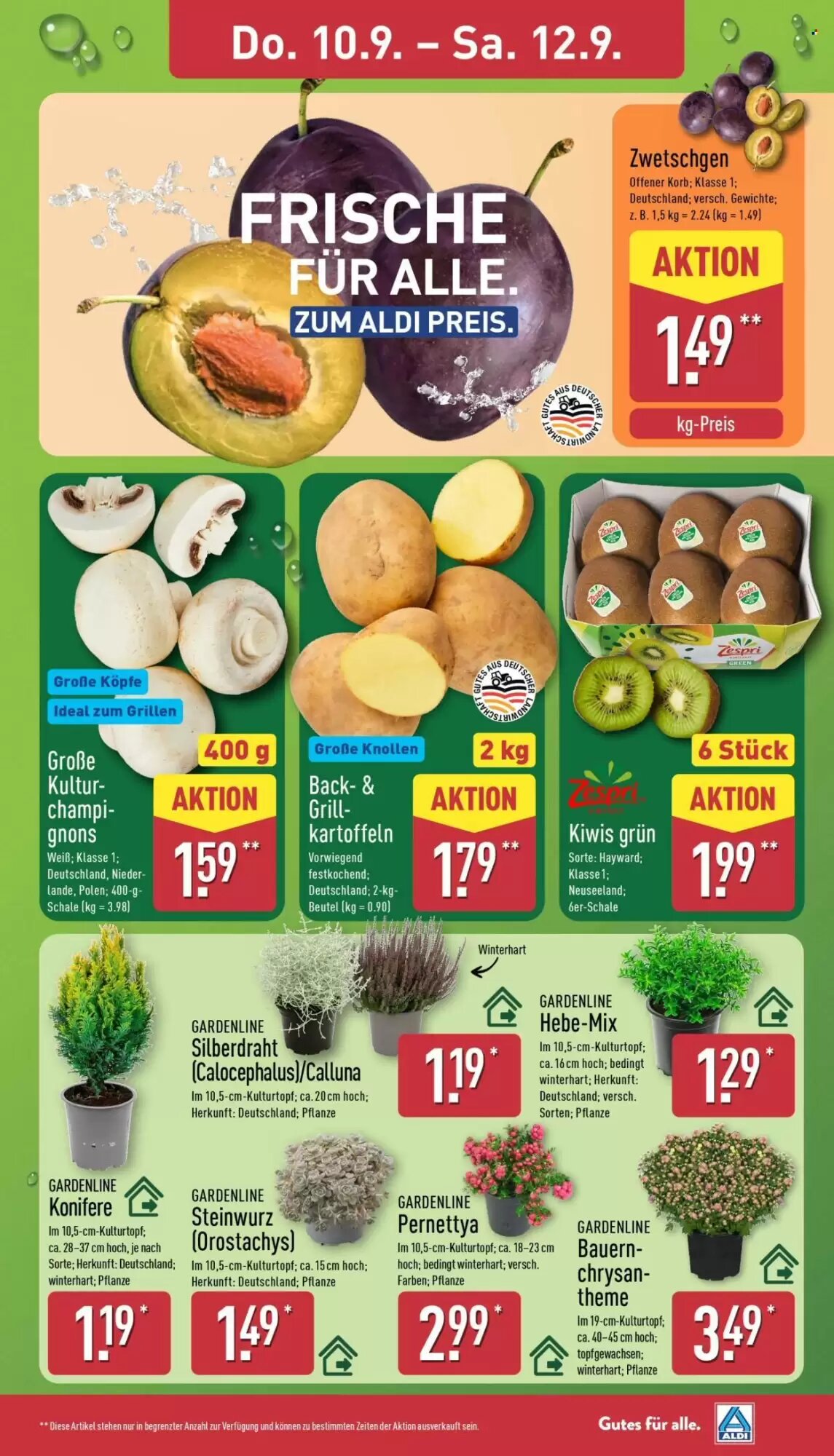Aldi Nord Prospekt (ab 07.09.2026) zum Blättern - Seite 27