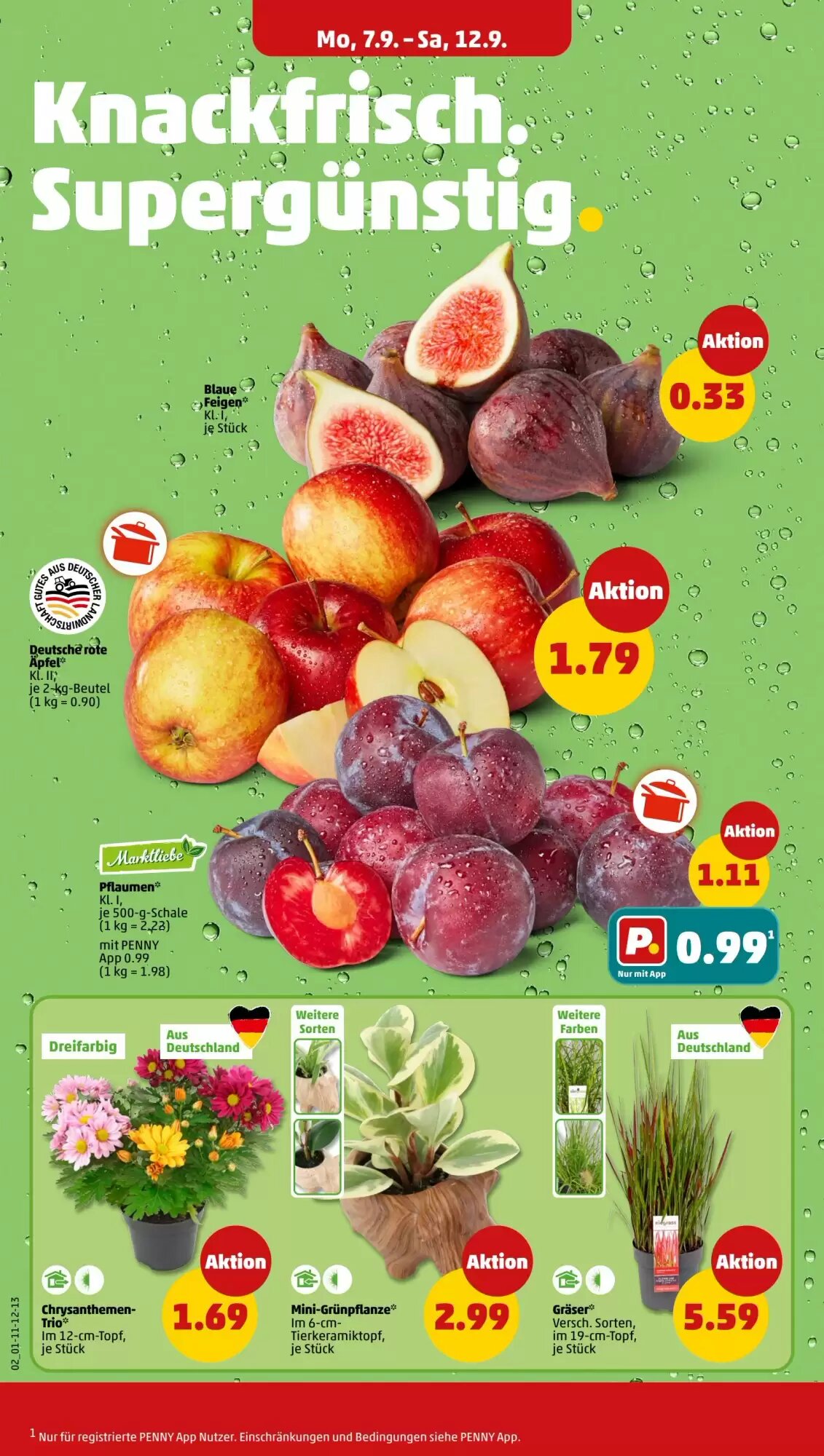 PENNY Prospekt (ab 07.09.2026) zum Blättern - Seite 2