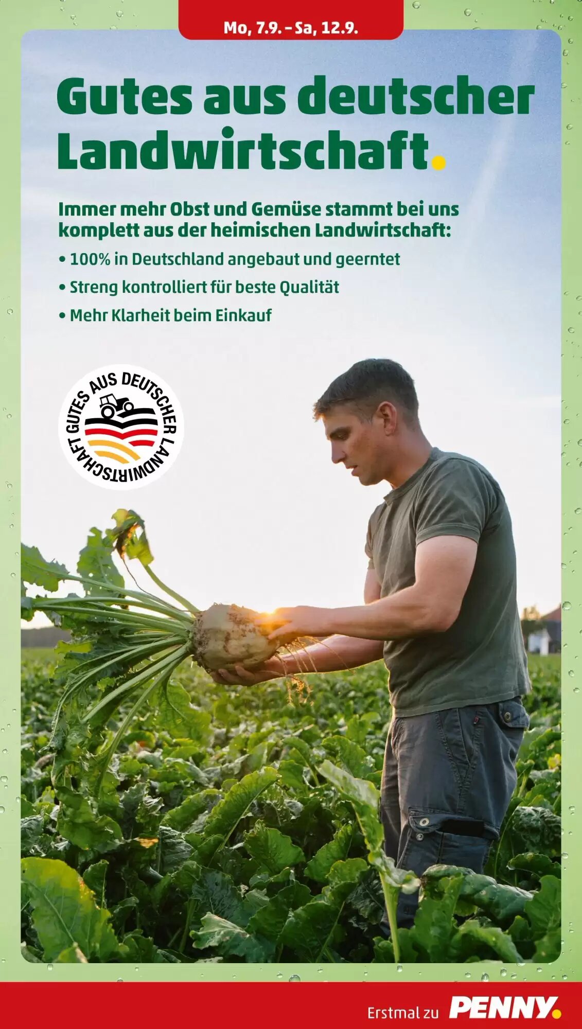 PENNY Prospekt (ab 07.09.2026) zum Blättern - Seite 5