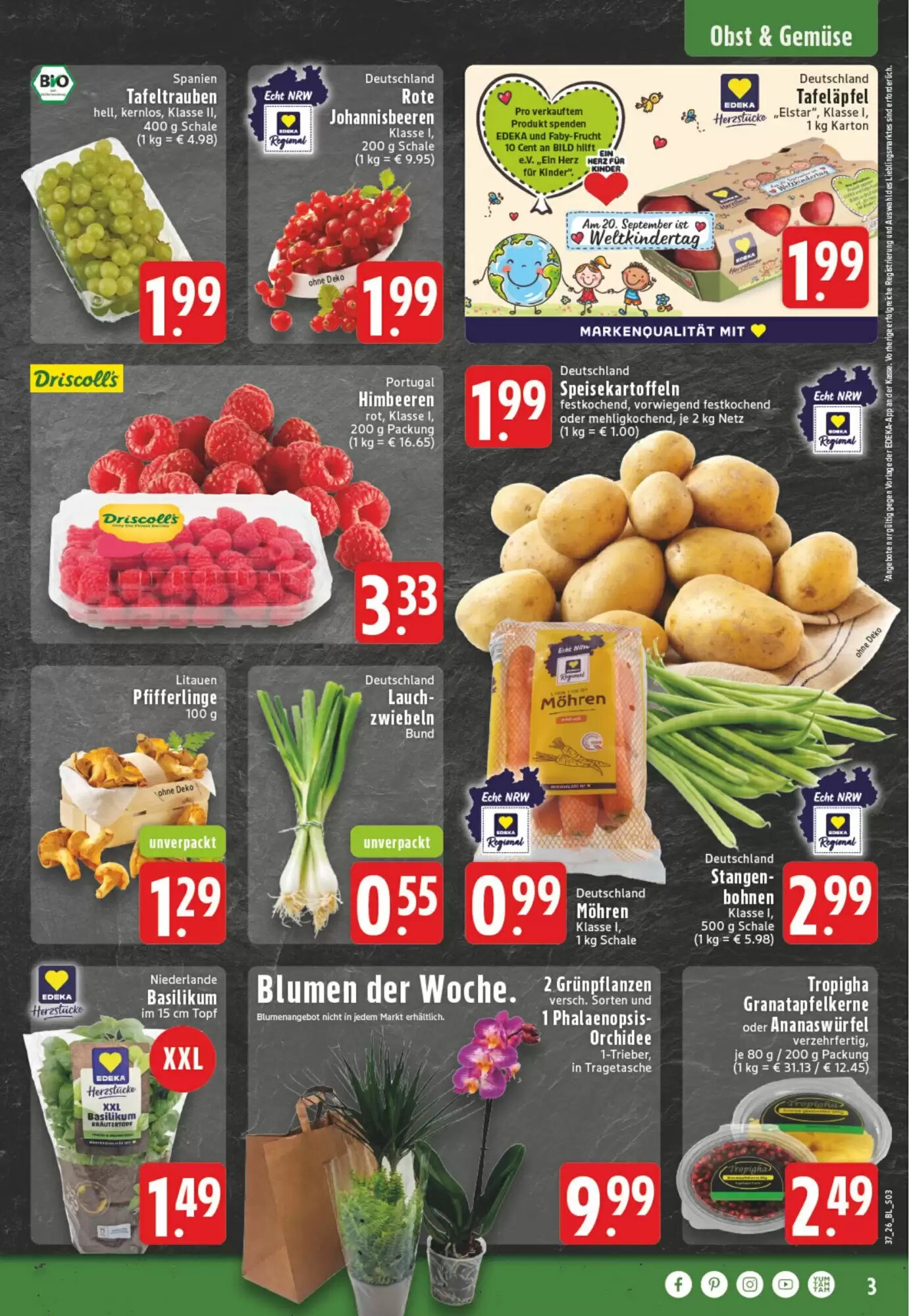 EDEKA Vogl Prospekt (ab 07.09.2026) zum Blättern - Seite 3