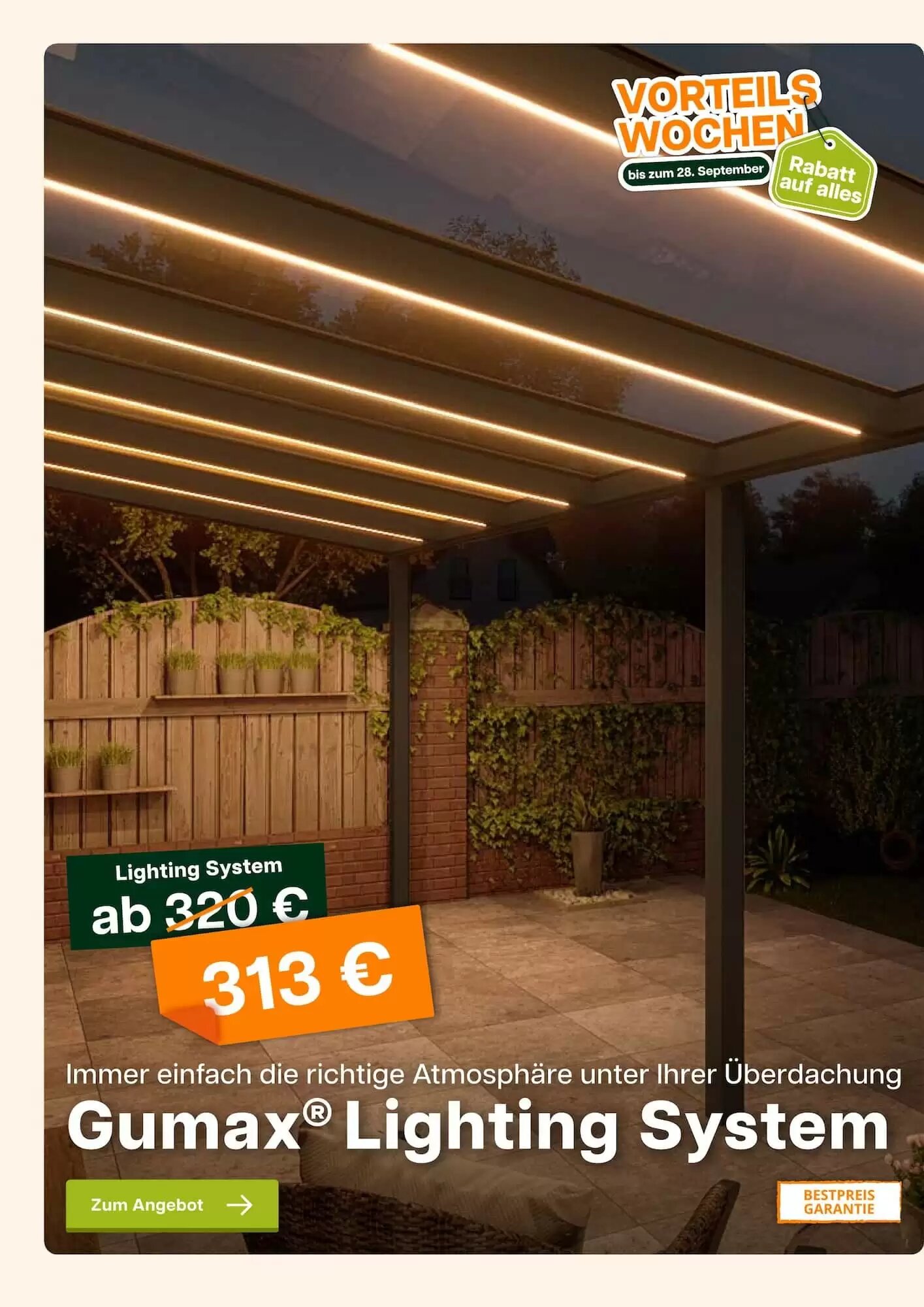 Tuinmaximaal Prospekt (ab 08.09.2026) zum Blättern - Seite 12